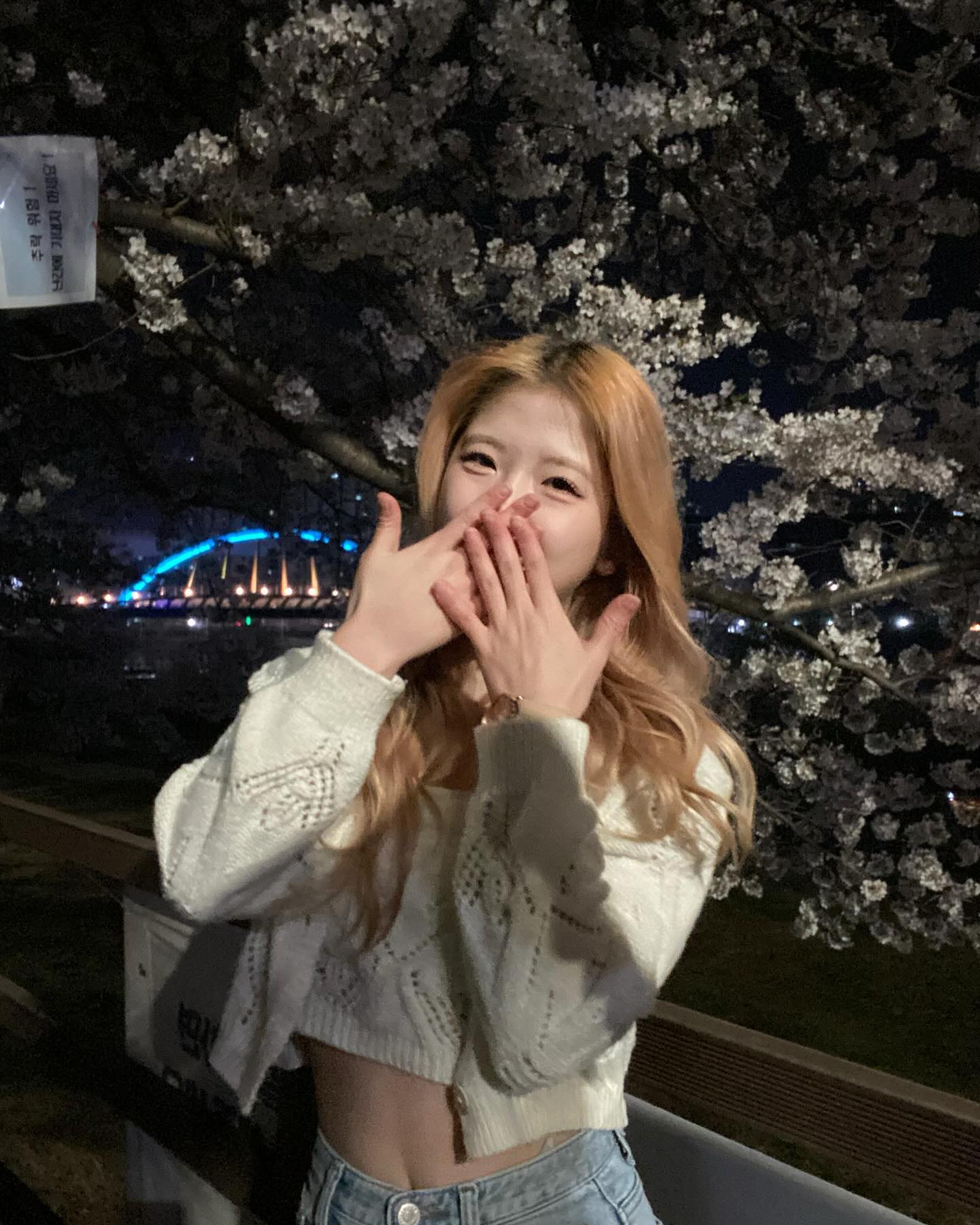 2024년의 벚꽃