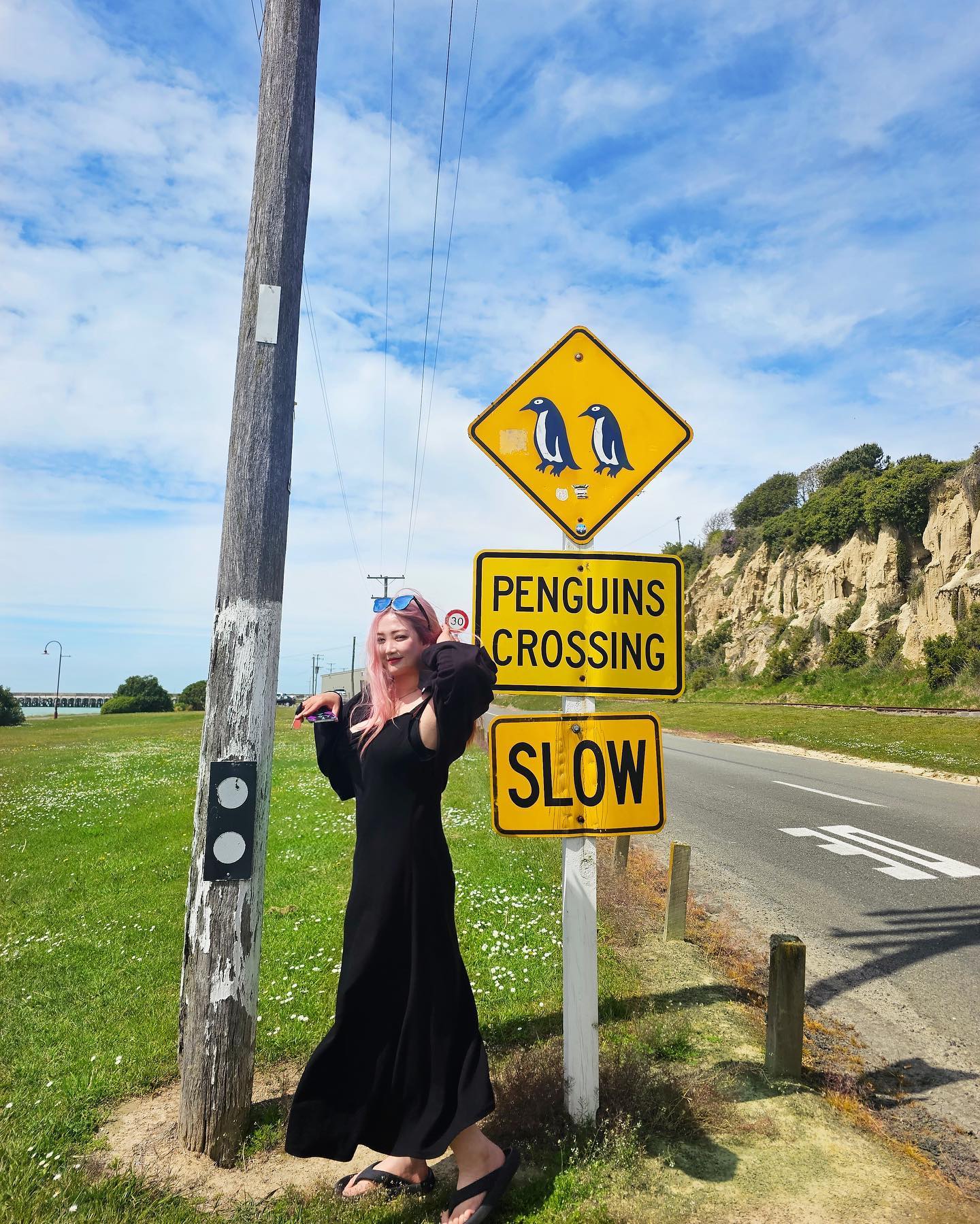 Penguins Crossing Sign🐧🐧