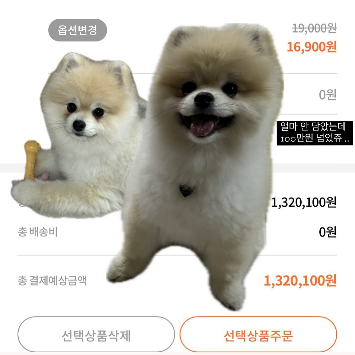 #바잇미 #바잇미장바구니이벤트 #KA230217164433NnK