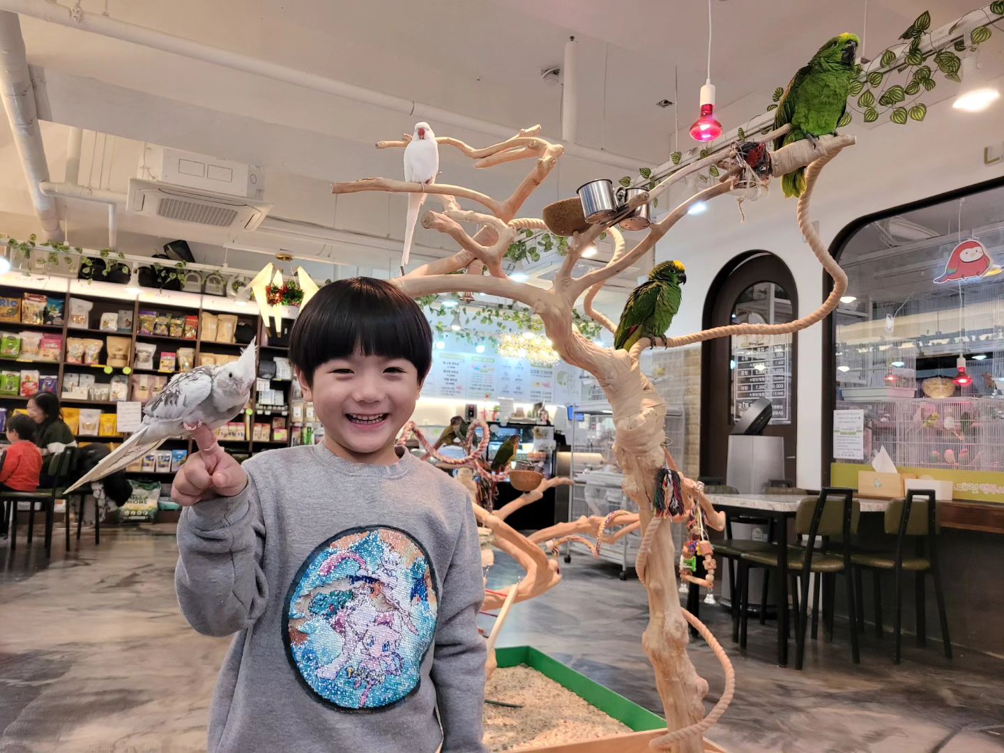 새를 무서하던 겨리가 얼마나 신이 났는지
너무 좋다고 또 오자던 곳♡

#리프패럿영통점 
#수원아이와가볼만한곳 
#수원이색데이트