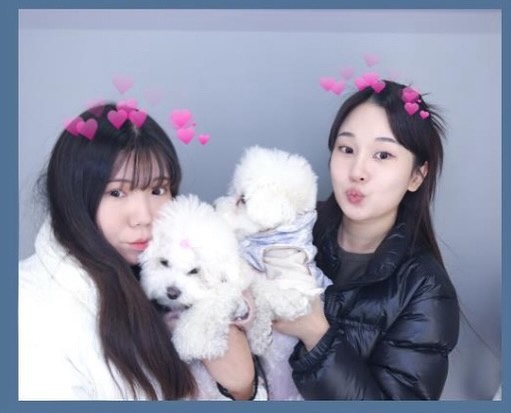 싸랑둥이랑 데뚜 데뚜🩷