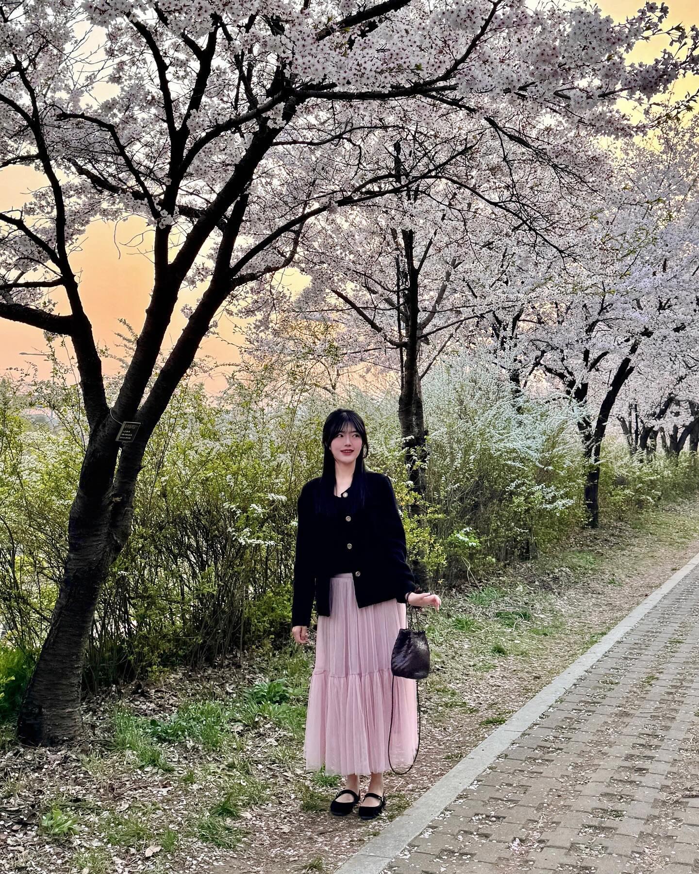 버스 반대로 타다가 발견한 벚꽃 명소 .. 🌸

#서울벚꽃명소 #서울벚꽃 #벚꽃놀이 #송파벚꽃