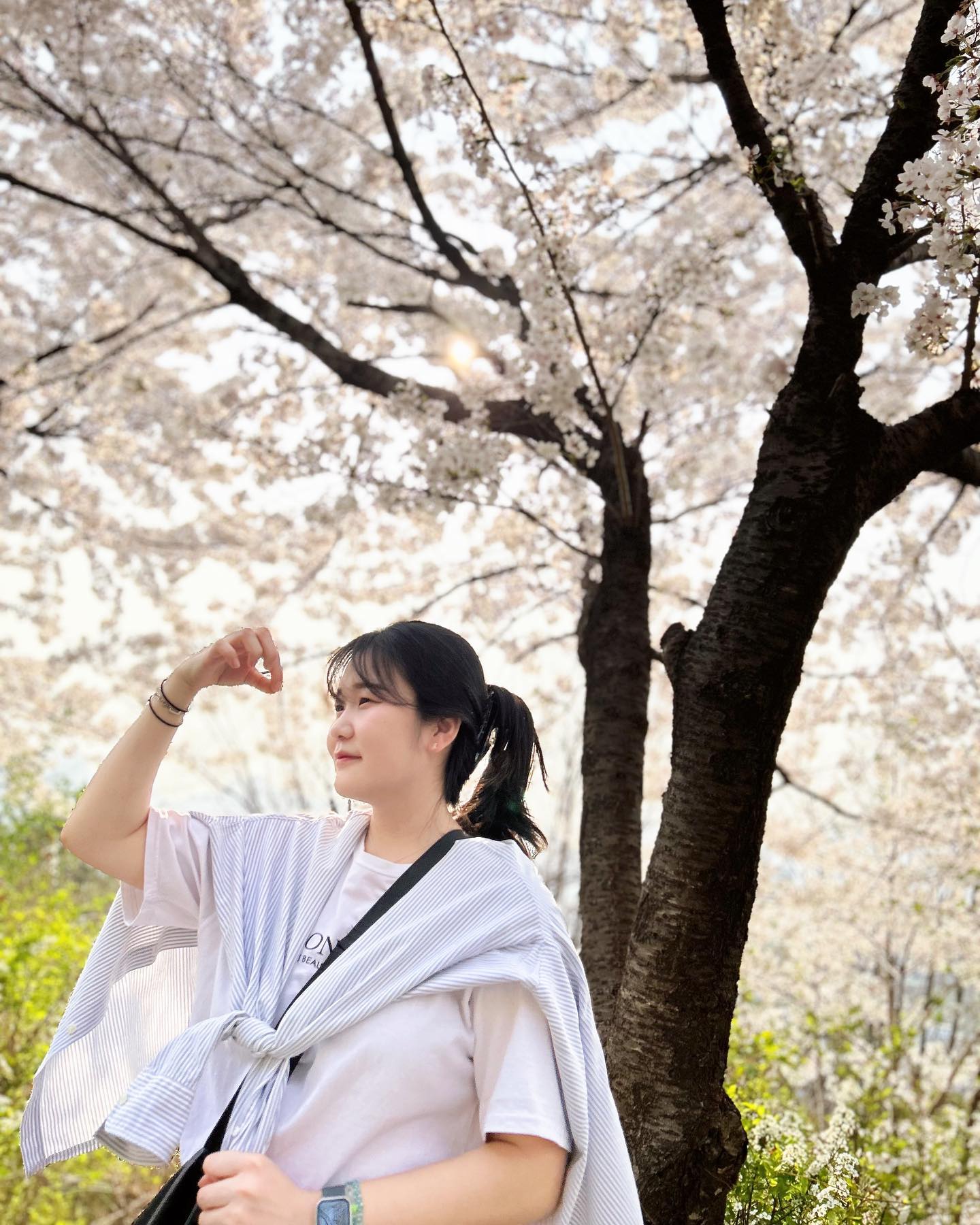 봄바람 휘날리며🌸🎶

٩(๑❛ᴗ❛๑)۶