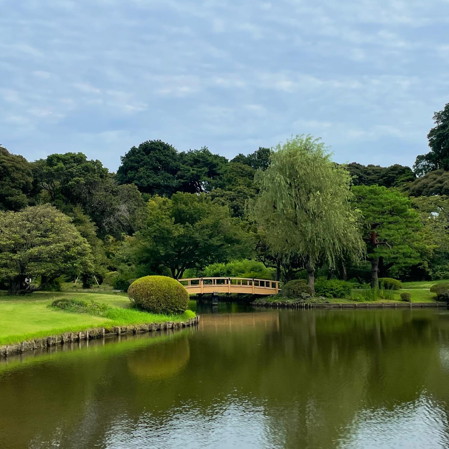 일본의 여름은 녹을 것 같지만 푸릇한 감성이 또 있지 🌿🍀

📍Shinjuku Gyoen (新宿御苑)