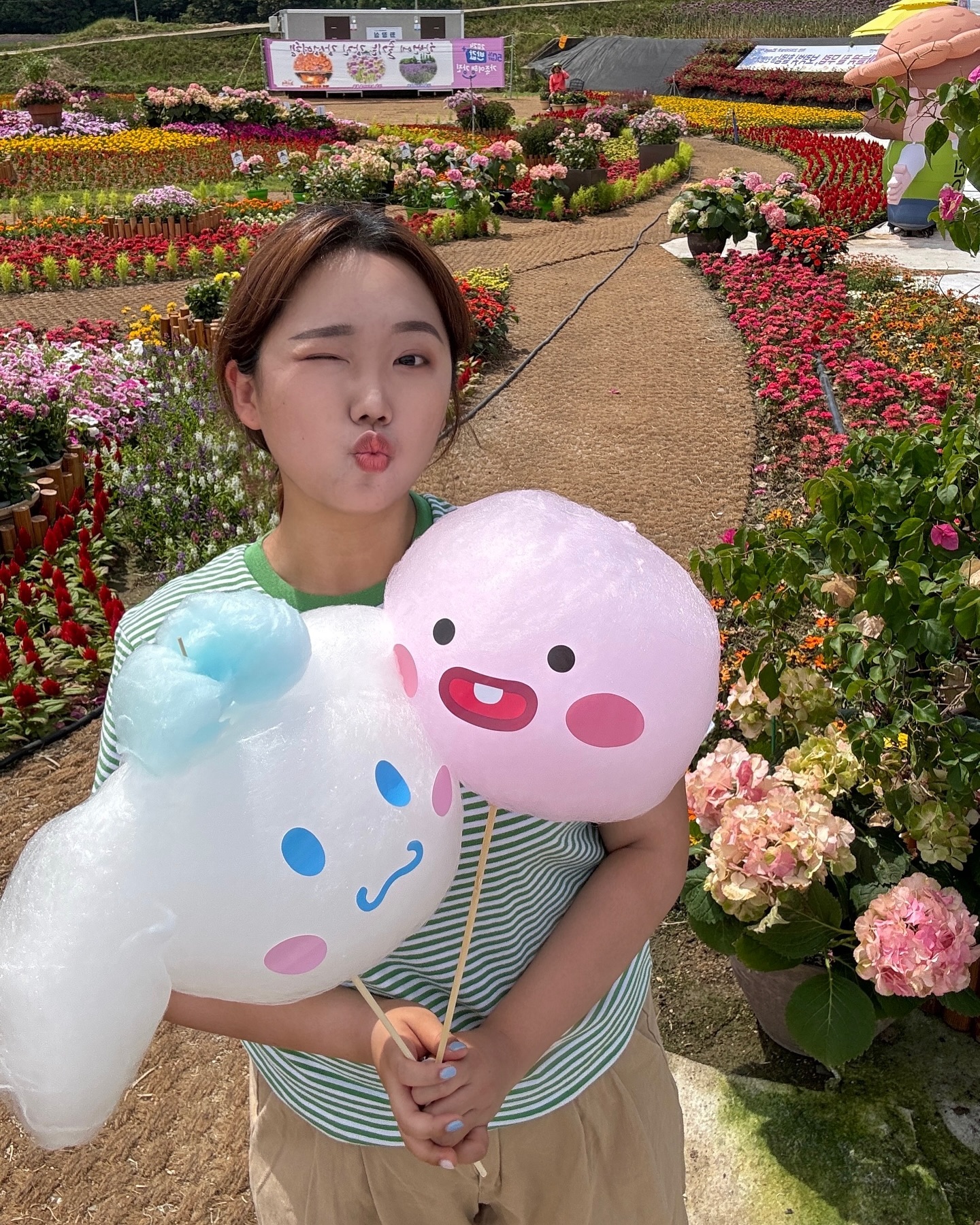 마늘꽃 🧄🌼

#강진코끼리마늘꽃 #강진불금불파 #작전까치내공원 #반값강진여행