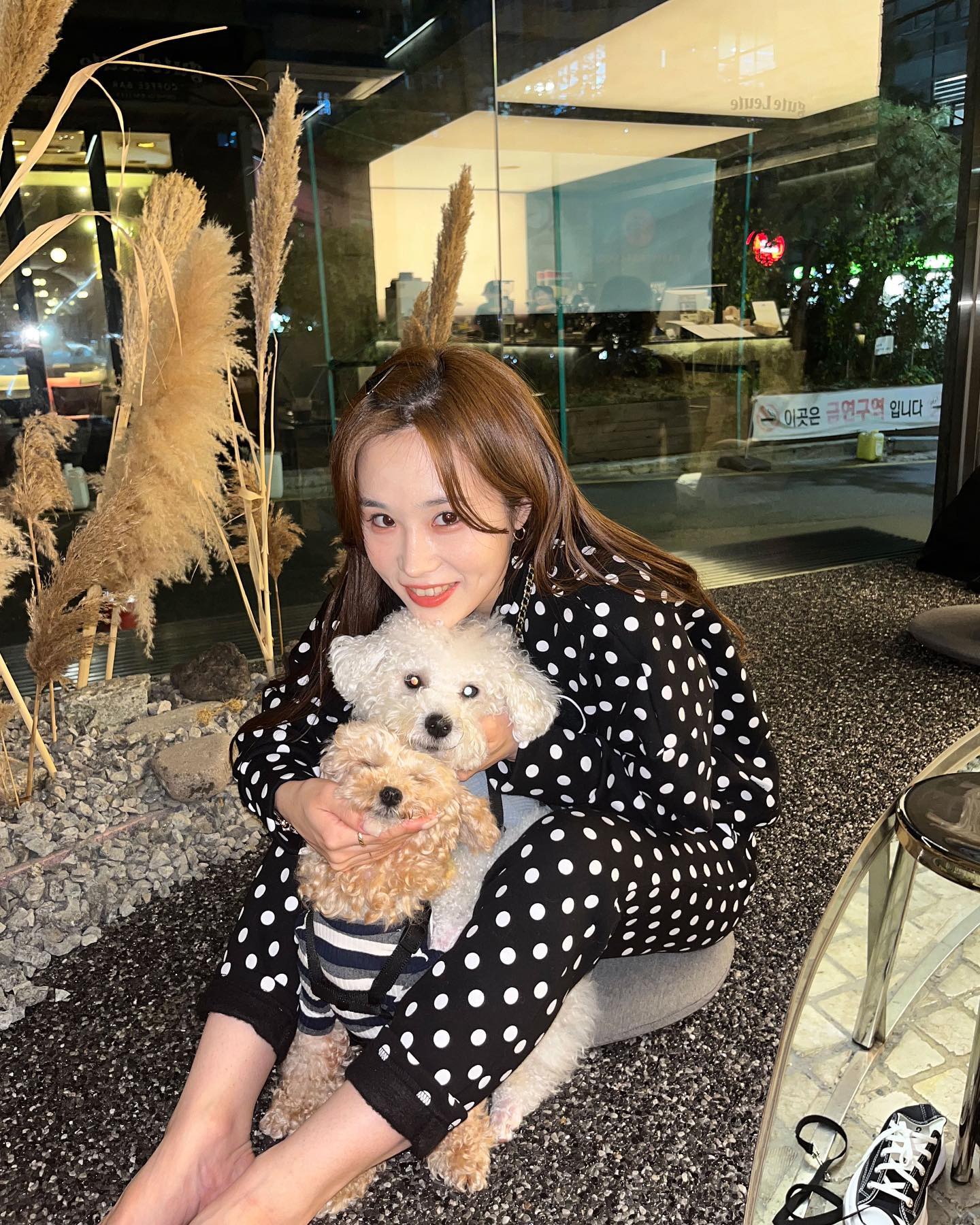 우래기덜 🐕🫶🏻
#구테로이테