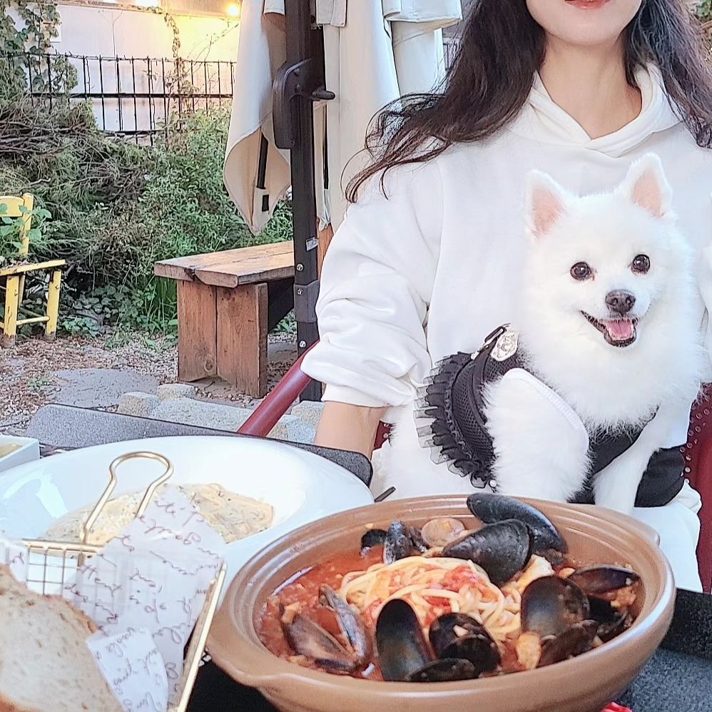 🐶같이 먹방🩷