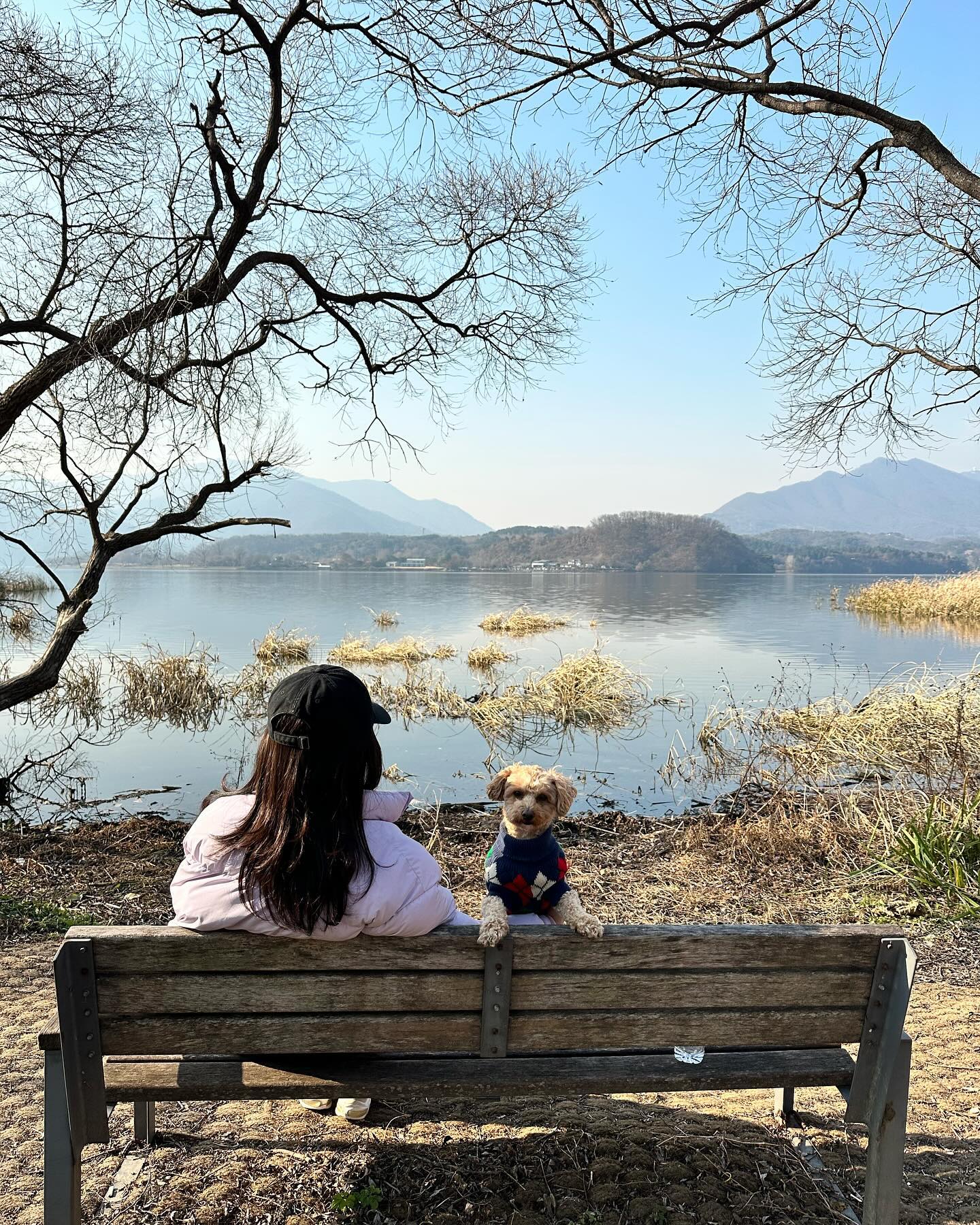 달콩이랑 물안개 공원 왔어요! 😊😊

#강아지 #댕댕이