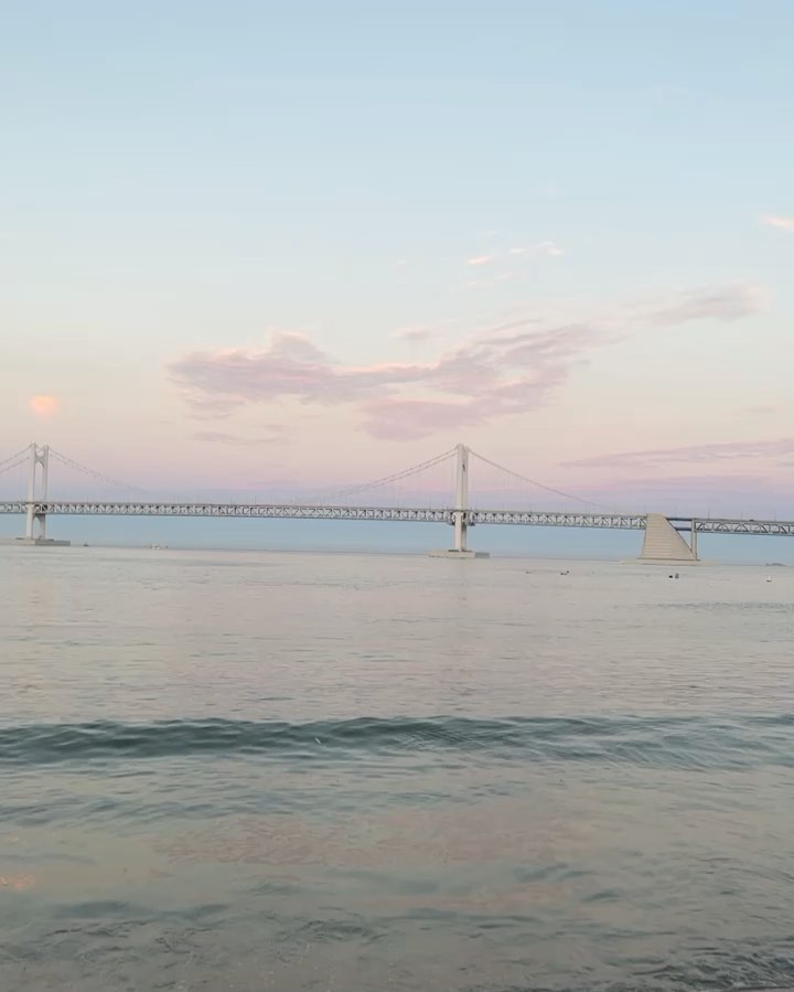 콘텐츠