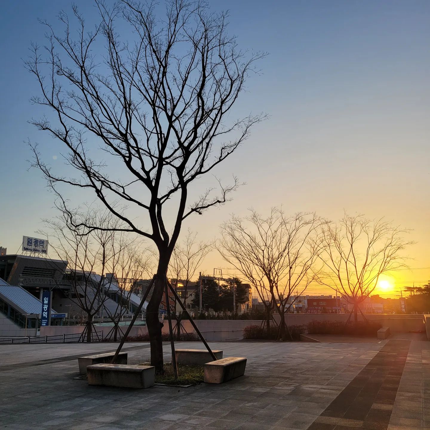 오늘아침은 부산에서 시작~~☺️

이사온지 벌써 두달 다 되어가는데

아직 부산이 낯설다.

2월은 거의 강남에서 보내고 어제 부산 컴백

이제 슬슬 부산생활 적응해야지^^

아직 지점이동전이지만 오늘부터 헬프로치 교육받

으러 울산으로~~

#오늘아침출근길
#오늘하루#시작#설렘#삼성화재설계사#삼성화재최은정설계사
#설계사의하루 #하루기록#삼성화재#헬프로치교육