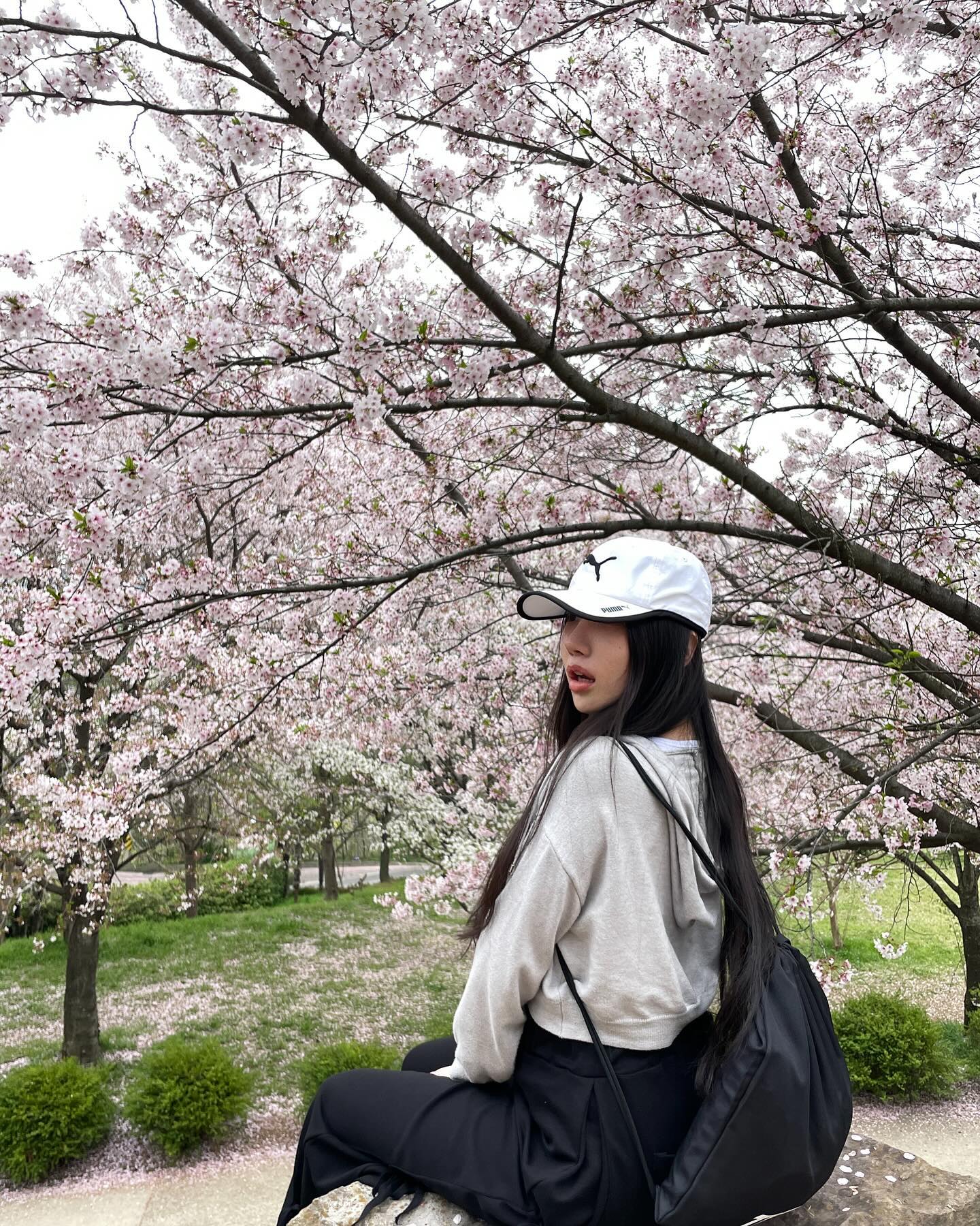선진공원 다녀왔다