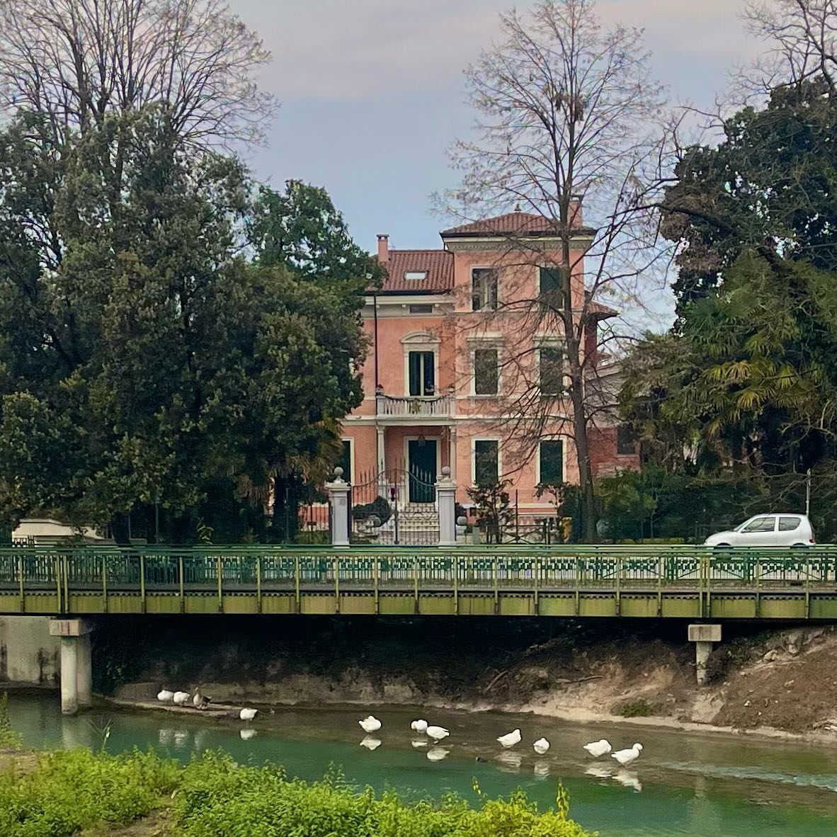 Treviso