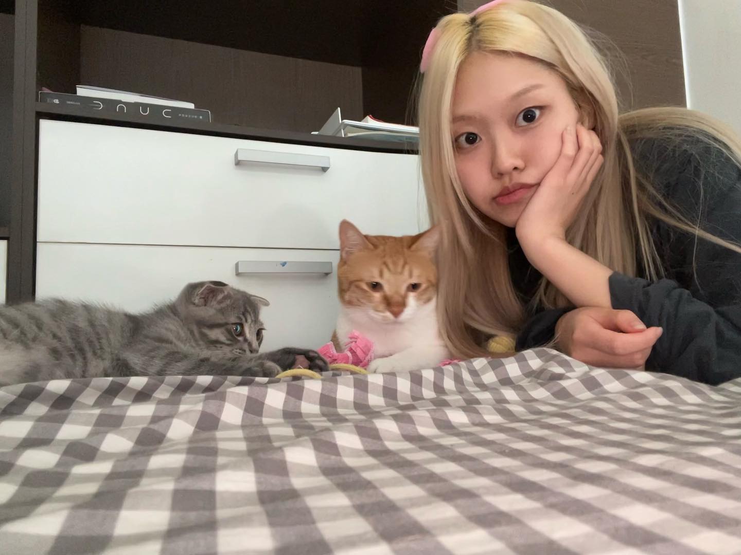 😸ღ 😺ღ 😼