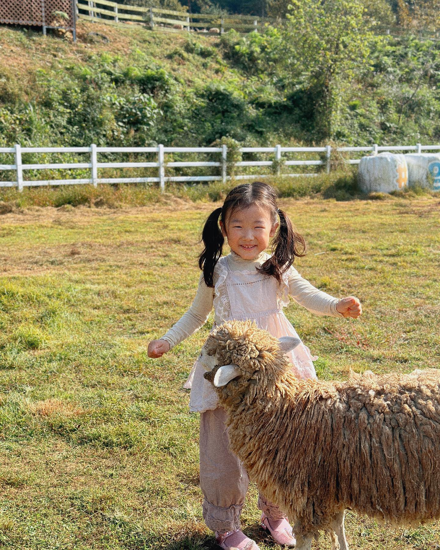 우리집 장꾸들 주말기록👨‍👩‍👧‍👧
사진 많이 찍어줄거라고 카메라 샀던 우리집 세대주는 결국 카메라 충전안되있어서 폼만 잡았다📷
#모든취미폼만잡는놈
