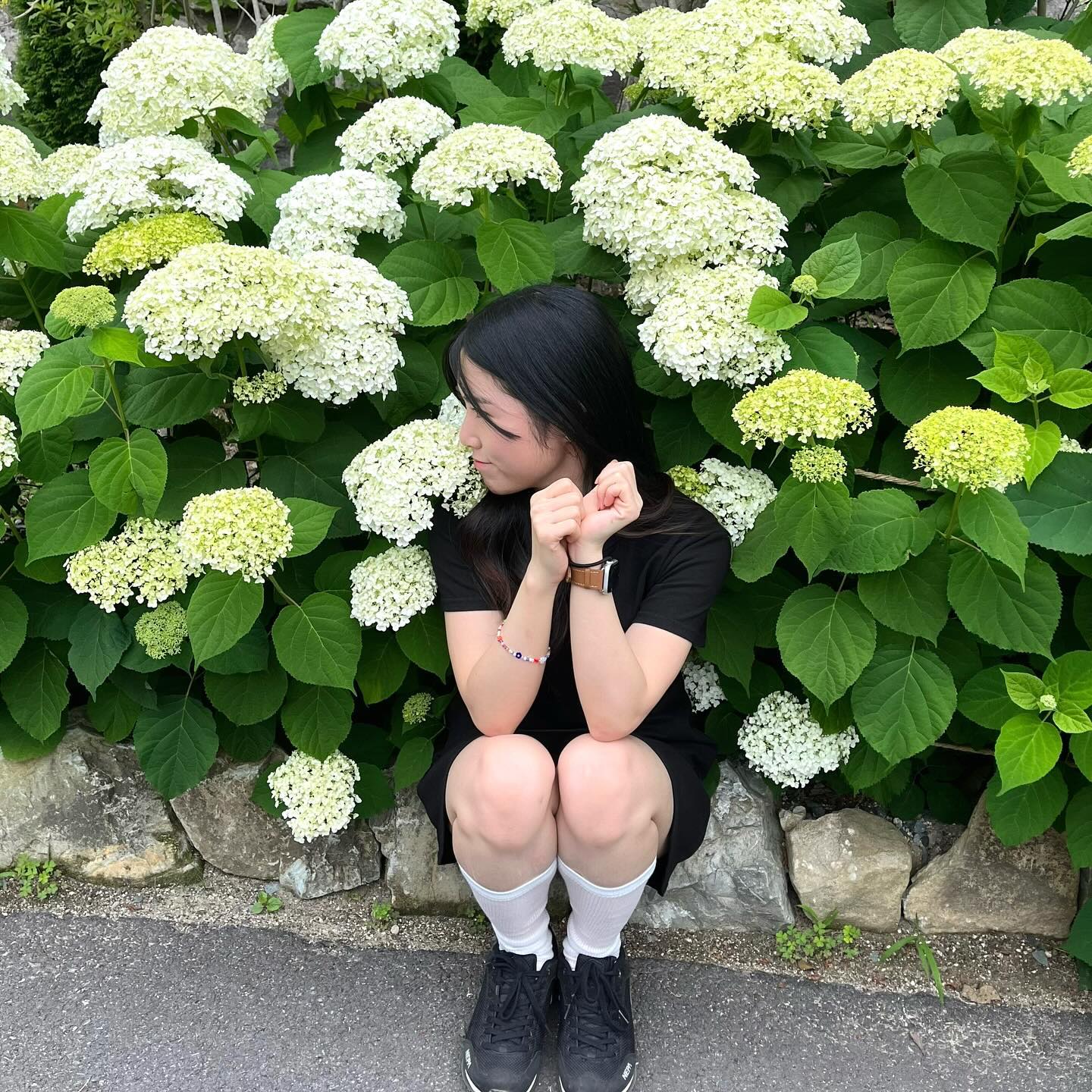 냅다 비집고 앉아버리기🫧

#월아산숲속의진주 #수국