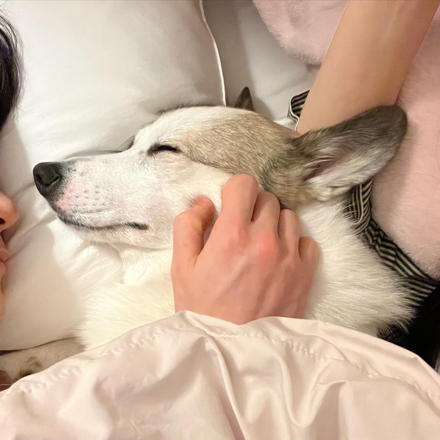 완전히 행복해!!!!! 🤍