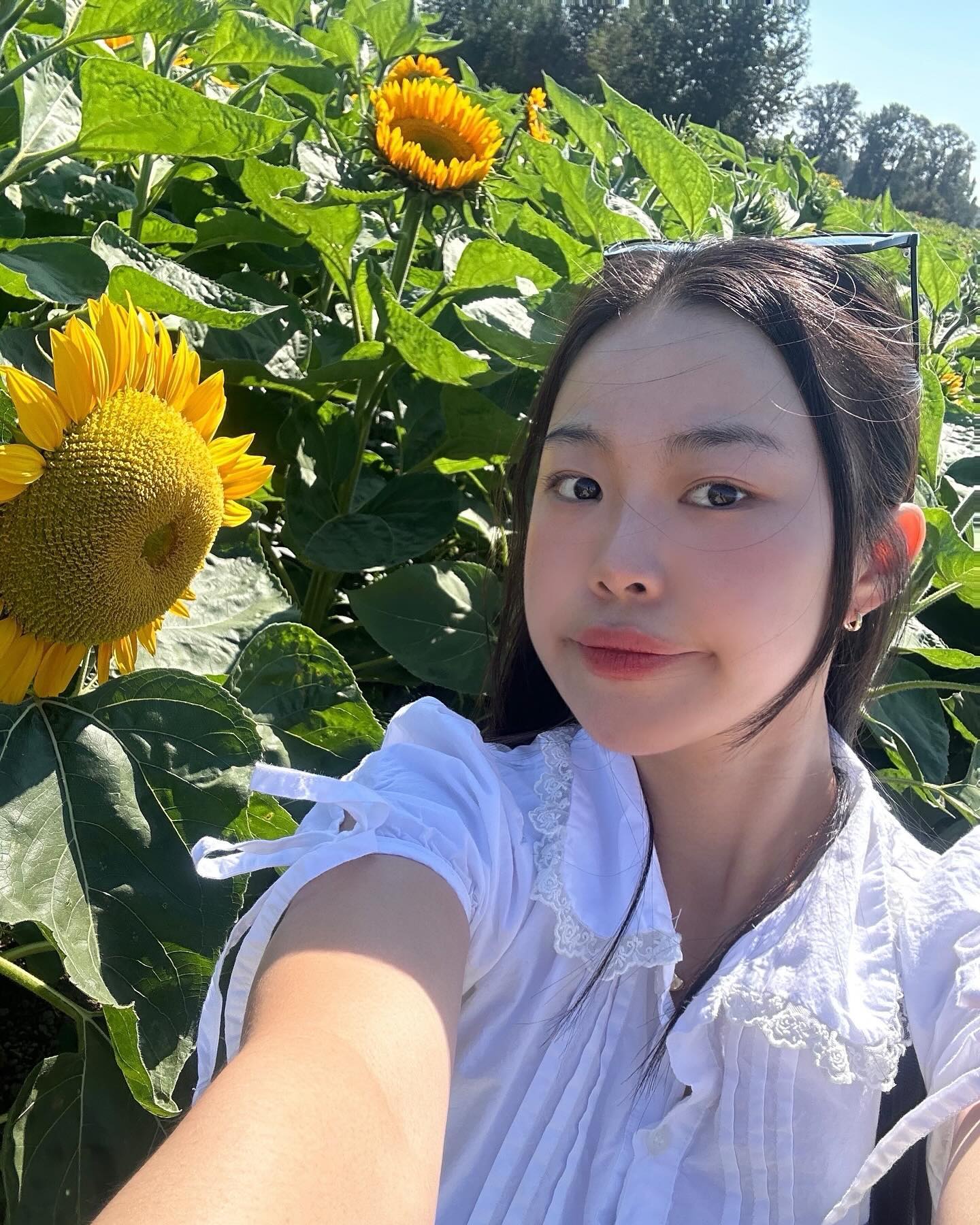 ꜱᴜɴꜰʟᴏᴡᴇʀ,🌻