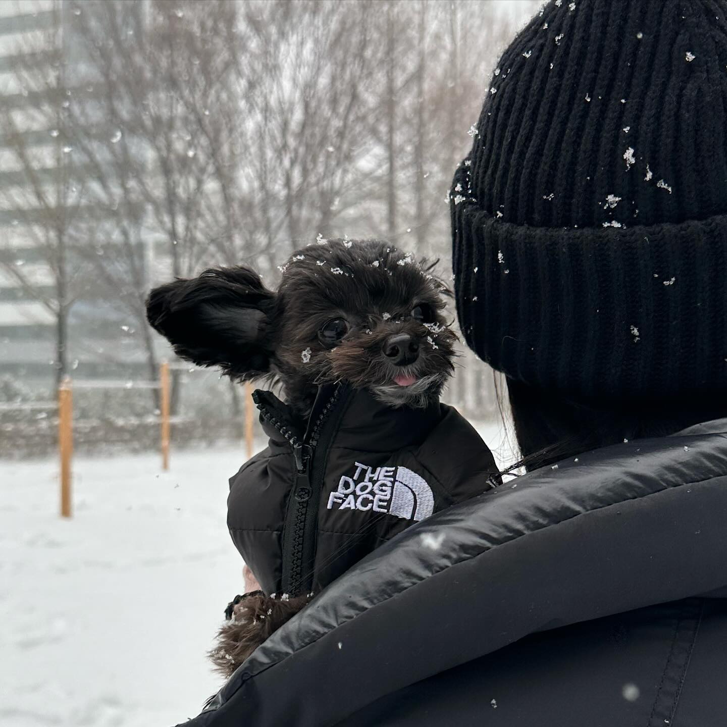 앗 챠거