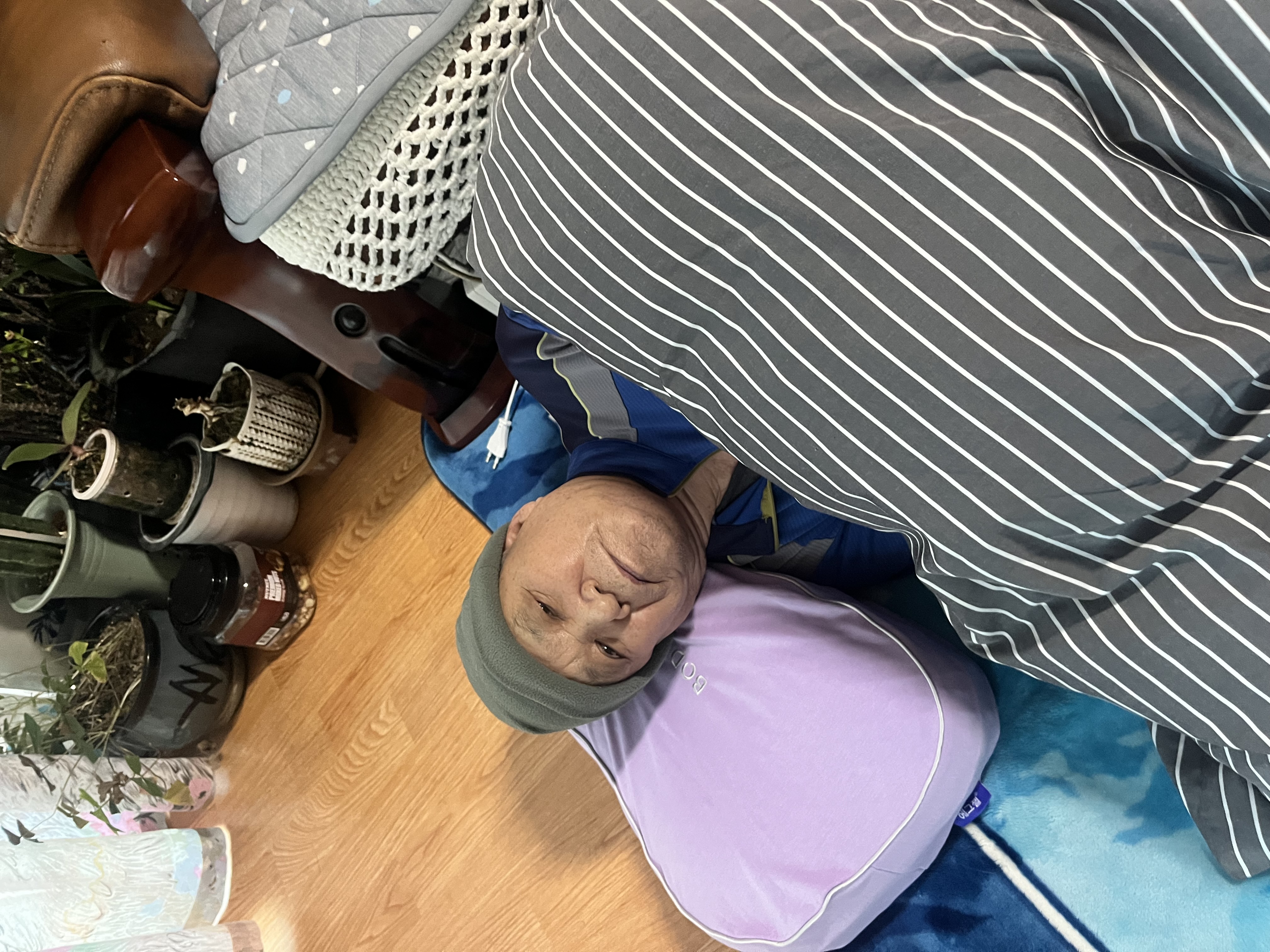 [바디씨] 10만 베개유목민의 선택 "에그젤베개"