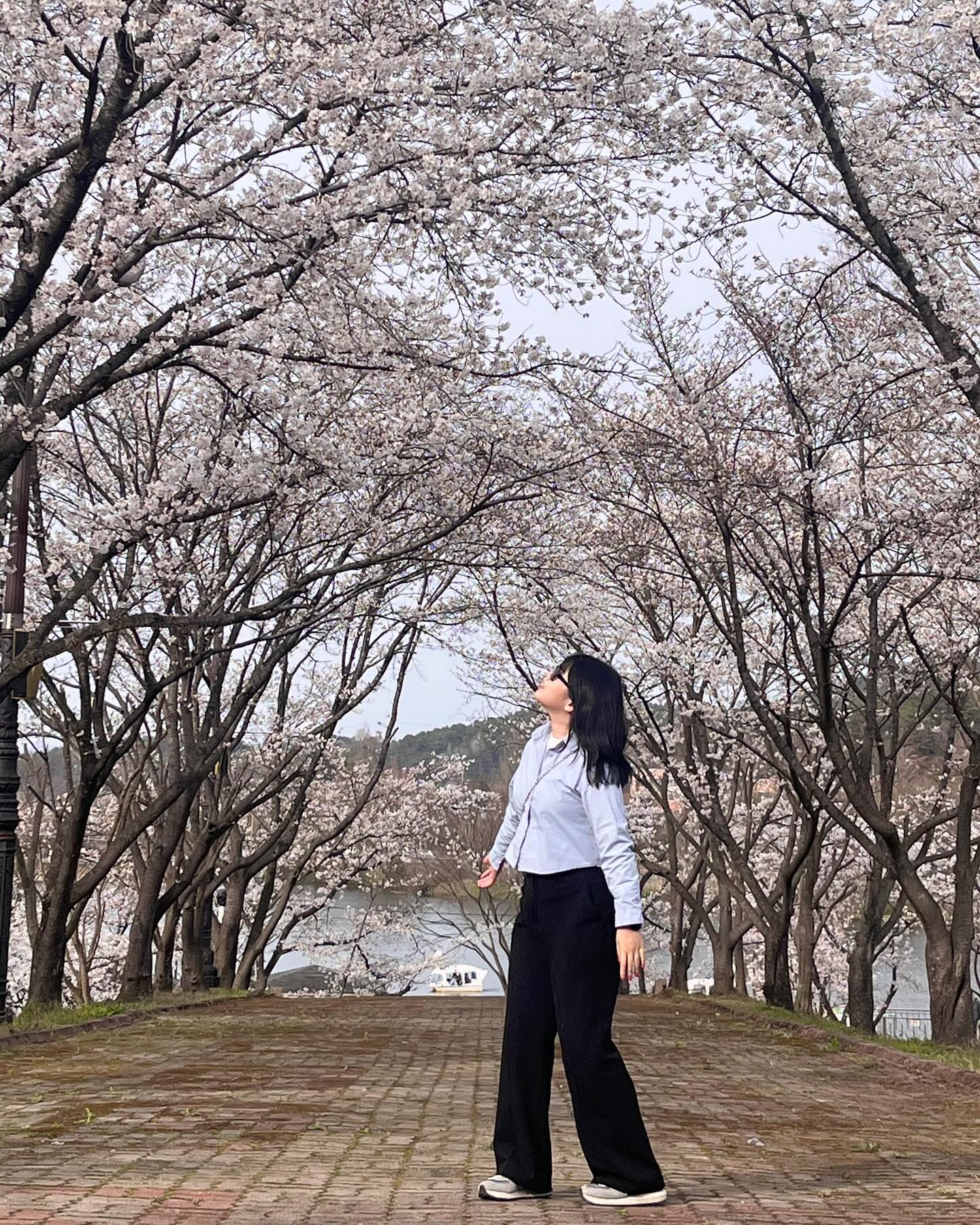 .
내도 벚꽃 봤다잉..✿✿