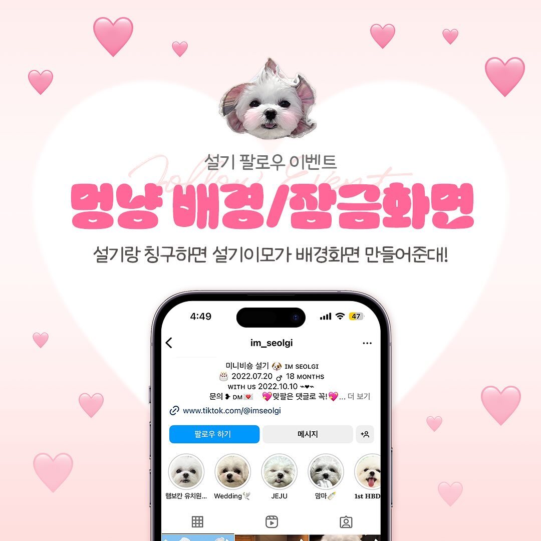 #팔로우이벤트 #팔로워이벤트 #임설기🐶 

안뇽 🎀 칭구들! 나는 설기얌🐶🫶🏻
우리 엄마가 팔로우 이벤트를 준비했는데
처음이라 뭐 할까 고민하다가..!

엄마 본업이 디자이너라 칭구들 사진으로
🐶🐱 배경화면을 만들어준대💖

이벤트 참여 방법이랑 안내사항은
피드에 다 있어🩷
(외국인 계정/유령계정은 참여불가🥲)

엄마가 창업 준비 중이라
상품으로 출시할 것 중에 하나라구 허니까!
많은 관심과 소문 부탁해🎀🫶🏻

🎀🧸💕✨💖🎀🧸💕✨

사진 허락해주신
겨울이이모🤍 구름이누나💙
고마워유🥹💕