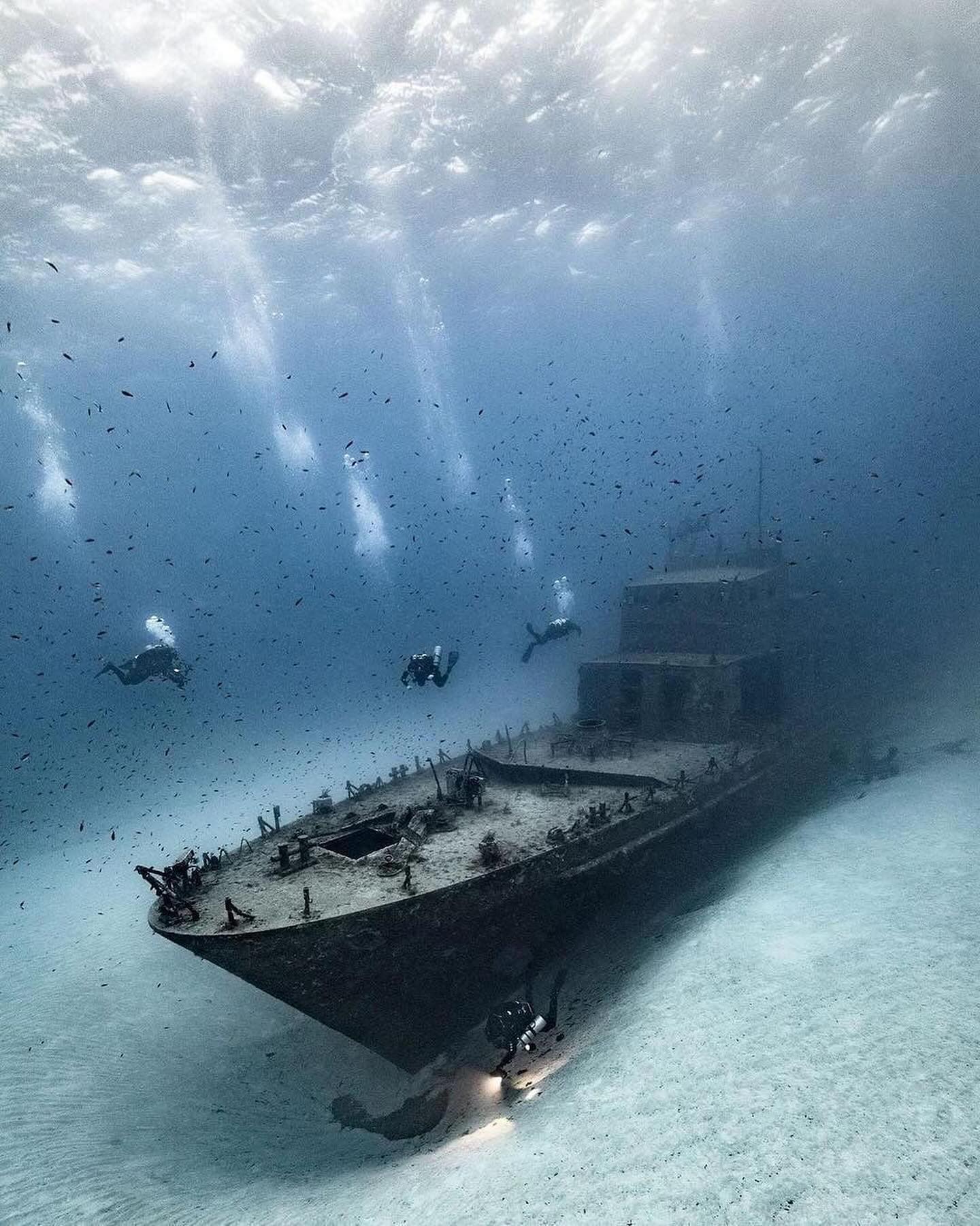 If you’re not following LeftToNature yet, we highly recommend you do so. LeftToNature is our new page, dedicated to the best abandoned and left to nature content on instagram.
-
Would you dive in these places ?
Which one is your favourite? 1-5?⁣⁣⁣
Places :
1 - The P31 from Comino in Malta
2&3 - Aqaba military museum in Jordan
4 - the Giannis D at Abu Nuhas, Red Sea
5 - The wreck of Tyrifjord near Askvoll, Norway.
6 - This Hercules wreck in Aqaba Jordan
📸 alex_dawson_photography