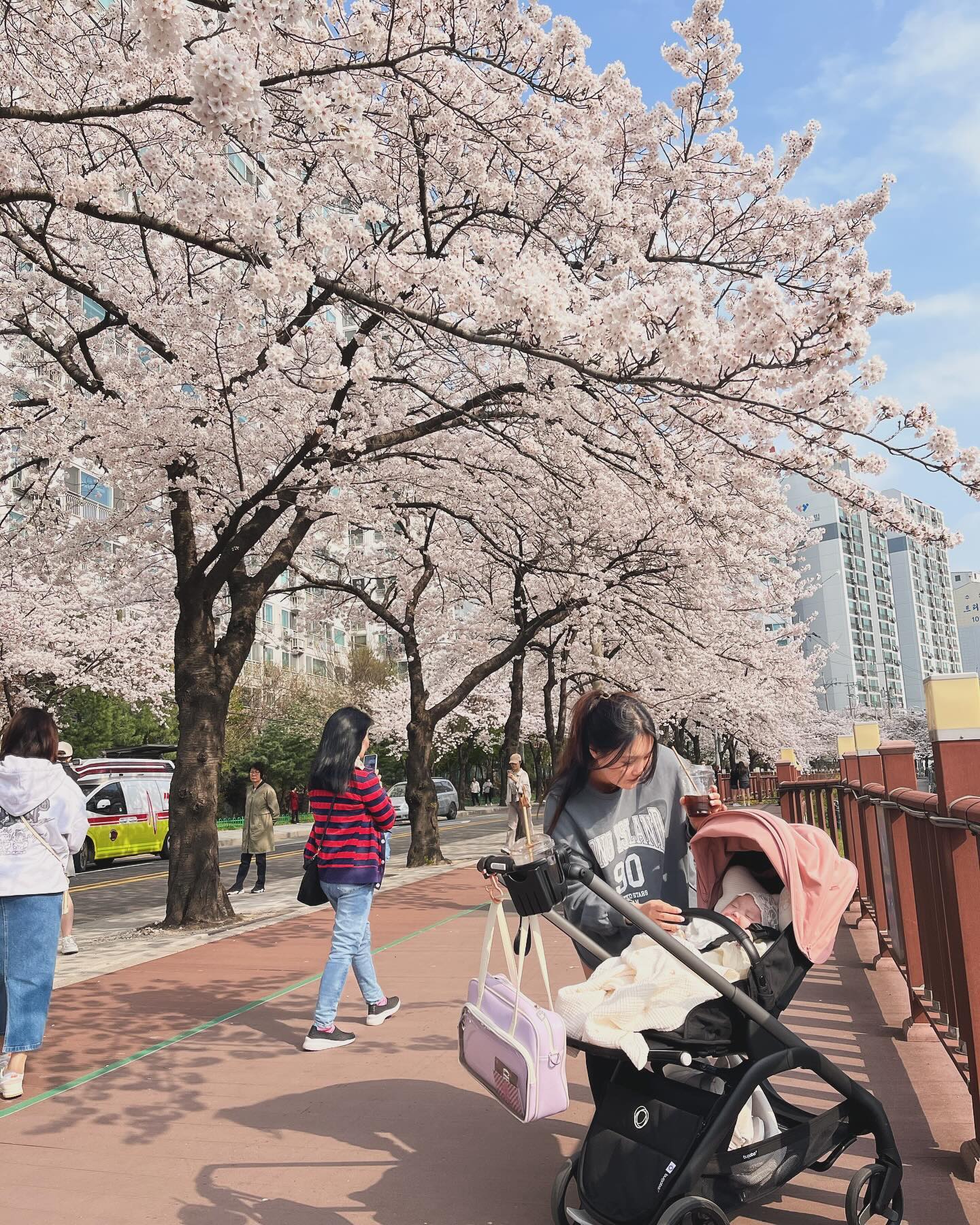 첫번째 봄🌸