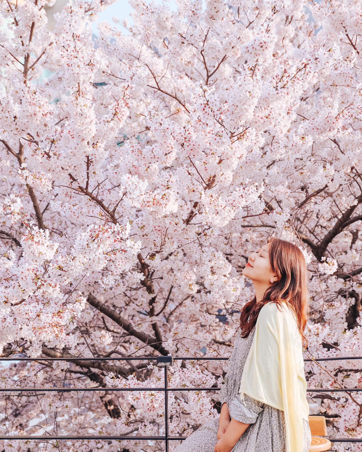 #벚꽃팝콘🌸 

#부산벚꽃카페 #이띠
분홍 팝콘이 파바방~ 너무 예뻐 🌸
 
#부산벚꽃명소 #개금벚꽃길 옆이니 
함께 #벚꽃놀이 다녀오세요 🌸

#카페이띠 
09:00-21:00 매일 
부산 사상구 주례로 46

커피는 테이크아웃해서 루프탑가니
줄서서 사진찍고 있어서 문화충격 
줄반장 같은 분도 계세요 
물흐르듯 줄서서 찍으면 됩니다 ^^ 

#부산벚꽃 #busancherryblossom 
#cafeitti #busantrip