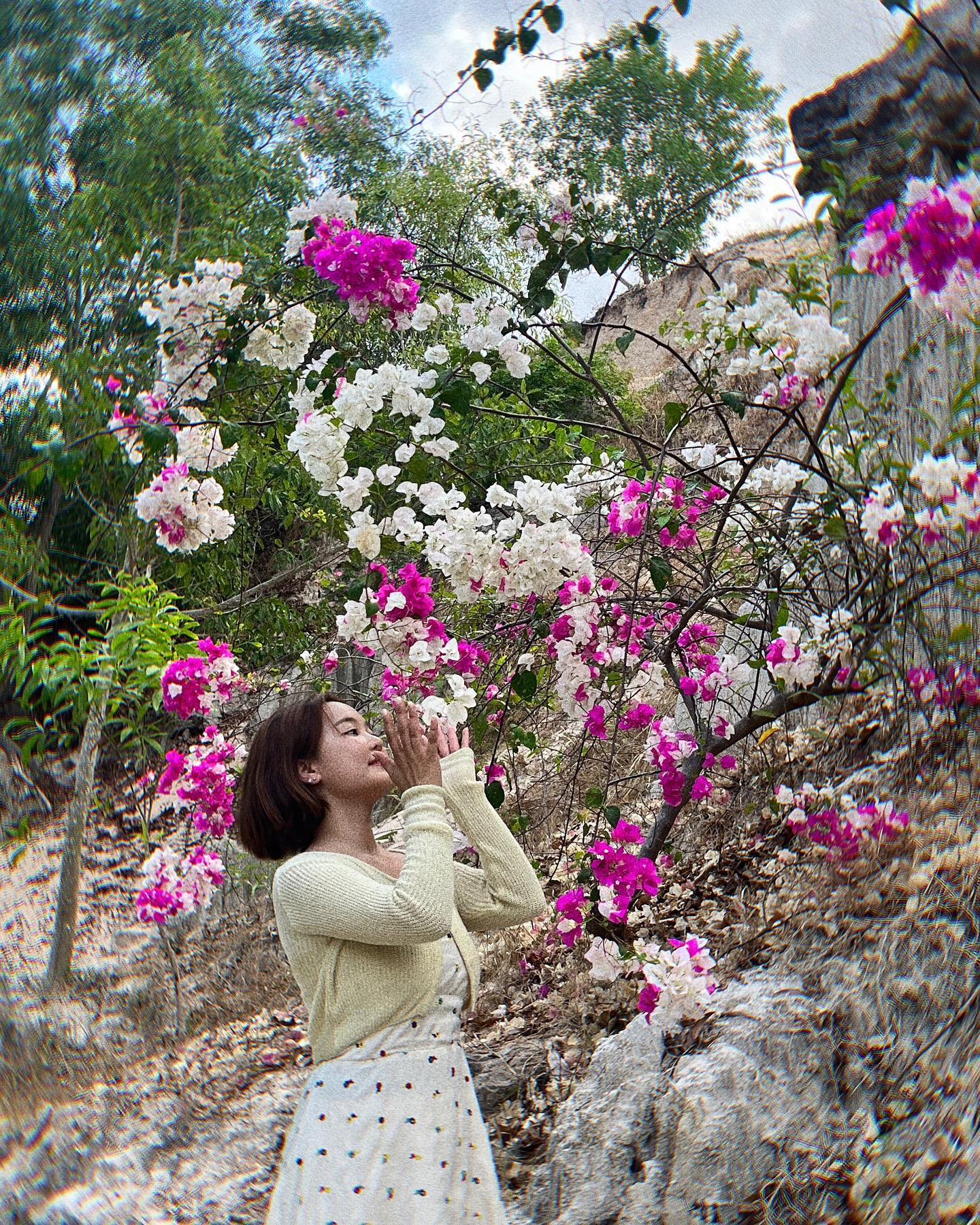 요정의샘물,,🧚🏻‍♀️💧
작은 그랜드캐년 이라구?,, 그냥 자연조하〰️
물 밟고 걸어가는 것도 너무 힐링,,!!
길가다 만난 미모사에도 신기방구〰️
자꾸 지나가는 사람들도 알려주고싶다며(;;;)ㅠ
말걸기 금지,,라고했자나,,,
.
.
.
#나짱#나트랑#무이네지프투어#무이네#피크타임
#요정의샘물#옐니꾸기#yellni_🇻🇳#나트랑여행