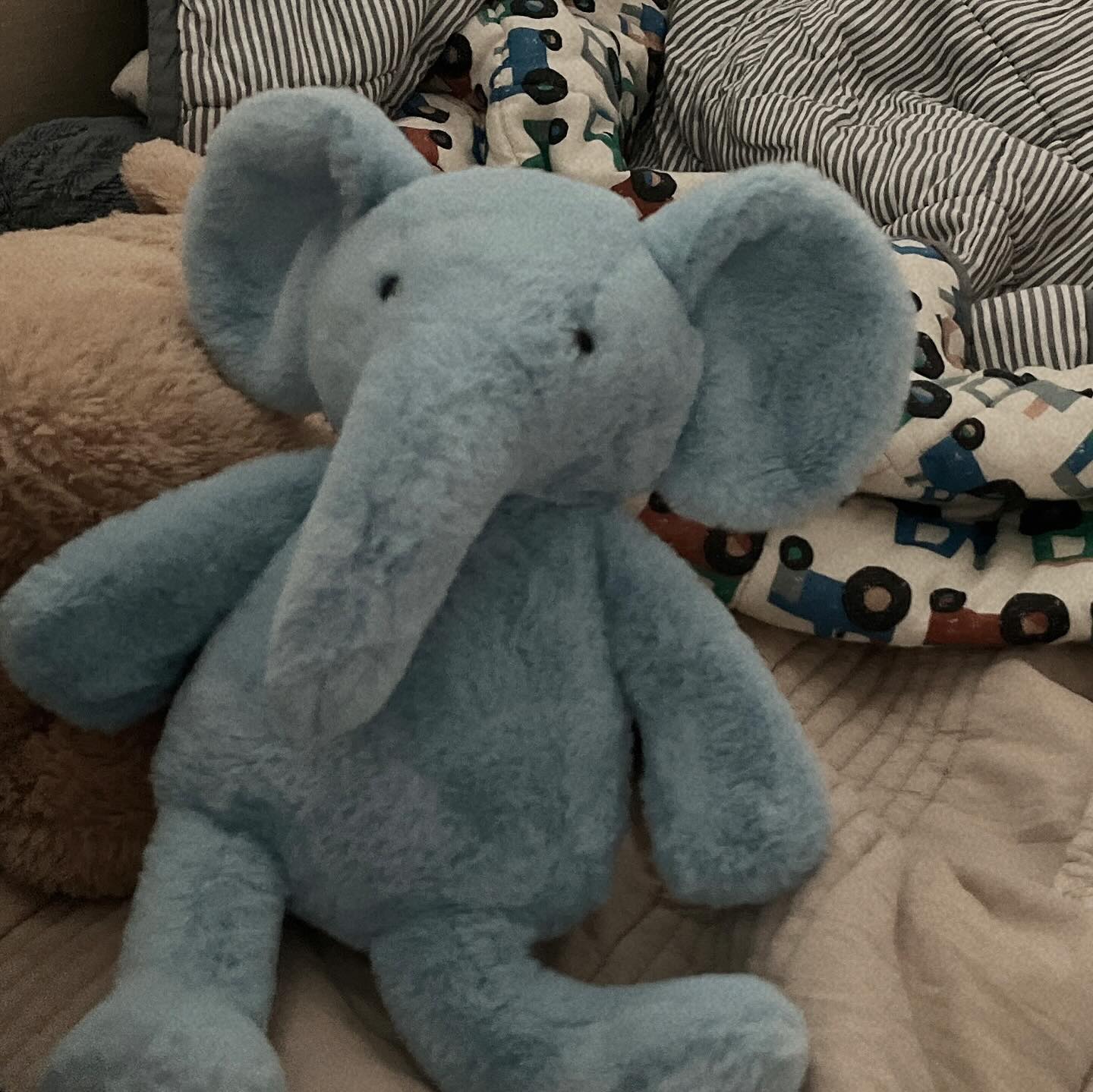 🐘🩵

🩵: 엄마 .ᐟ  부드럽구 말랑말랑해요 .ᐟ 
 기분이 너~~무 좋아지네 ?
 우리 코끼리는 이름을 뭐라고 해주까 ? 

예쁜 꿈꿔 마이 찬 :)

#코끼리
