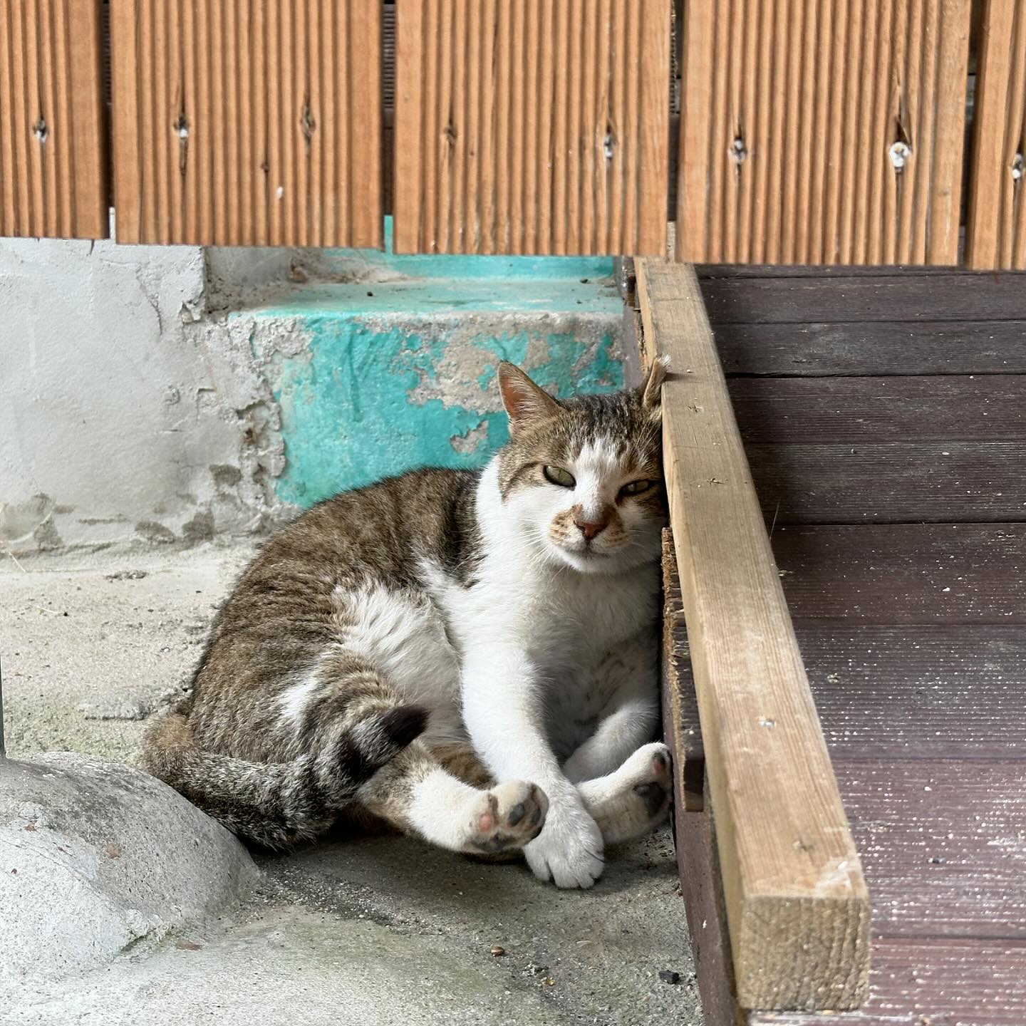봄은 어디가고 여름이~~~