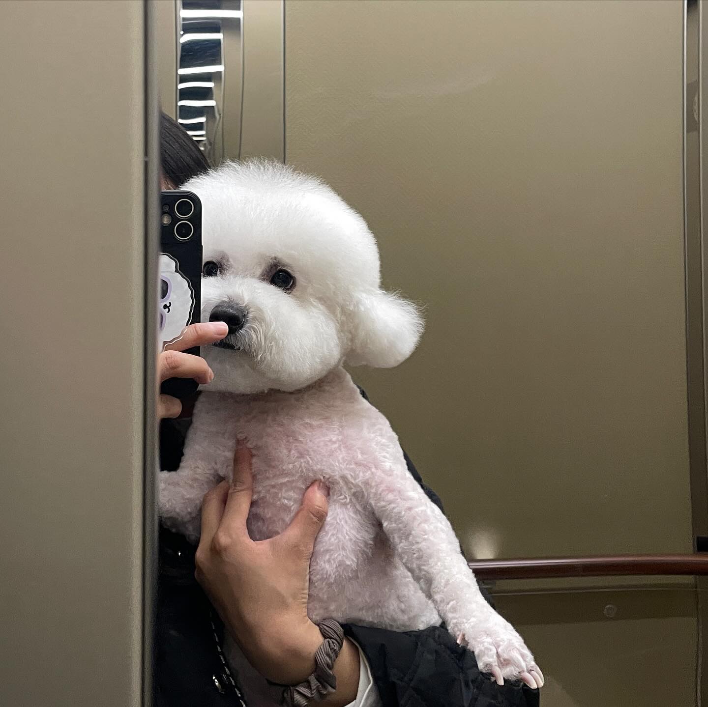 행님 미용하고 와따잉

#비숑 #비숑프리제 #미니비숑 #비숑타임 #댕댕이 #강아지 #강아지모델 #애견  #댕댕이일상 #🐶 #일상 #반려견 #반려견소통 #반려인 #오늘의강아지 #dog #こいぬ #애견동반 #애견동반카페 #애견카페 #강아지동반 #산책 #비숑미용