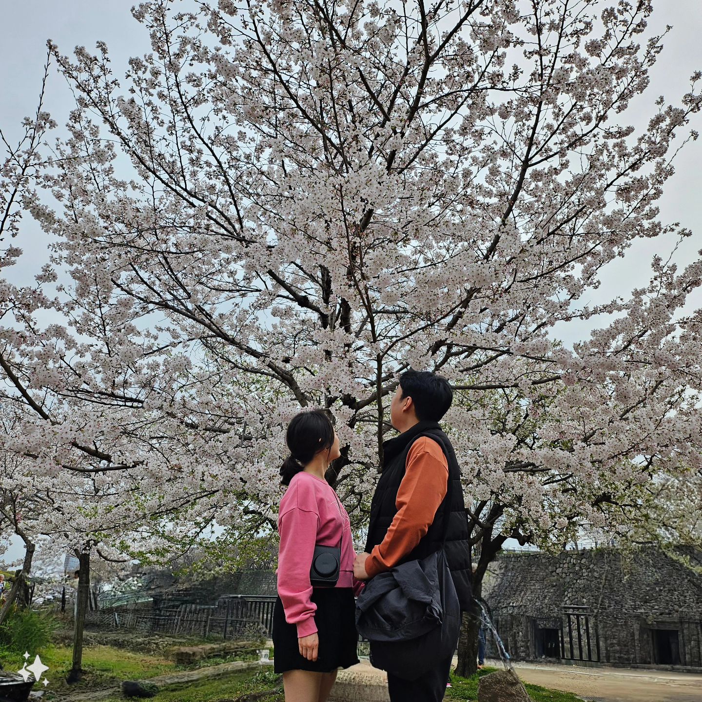 _
3일차.jpg
.
.
.
#사쿠라 #벚꽃
#오사카성 #osakacastle #오사카성천수각
#오사카성맛집 #카레
#웨이팅1시간 #스시
#도톤보리 #오사카오쇼 #교자만두
#자판기 #착즙오렌지주스
#킨류라멘 #금룡라멘 #강추 #또먹고싶은맛
#쀼 #쀼여행 #갤럭시 #새로운기능 #ai이미지생성