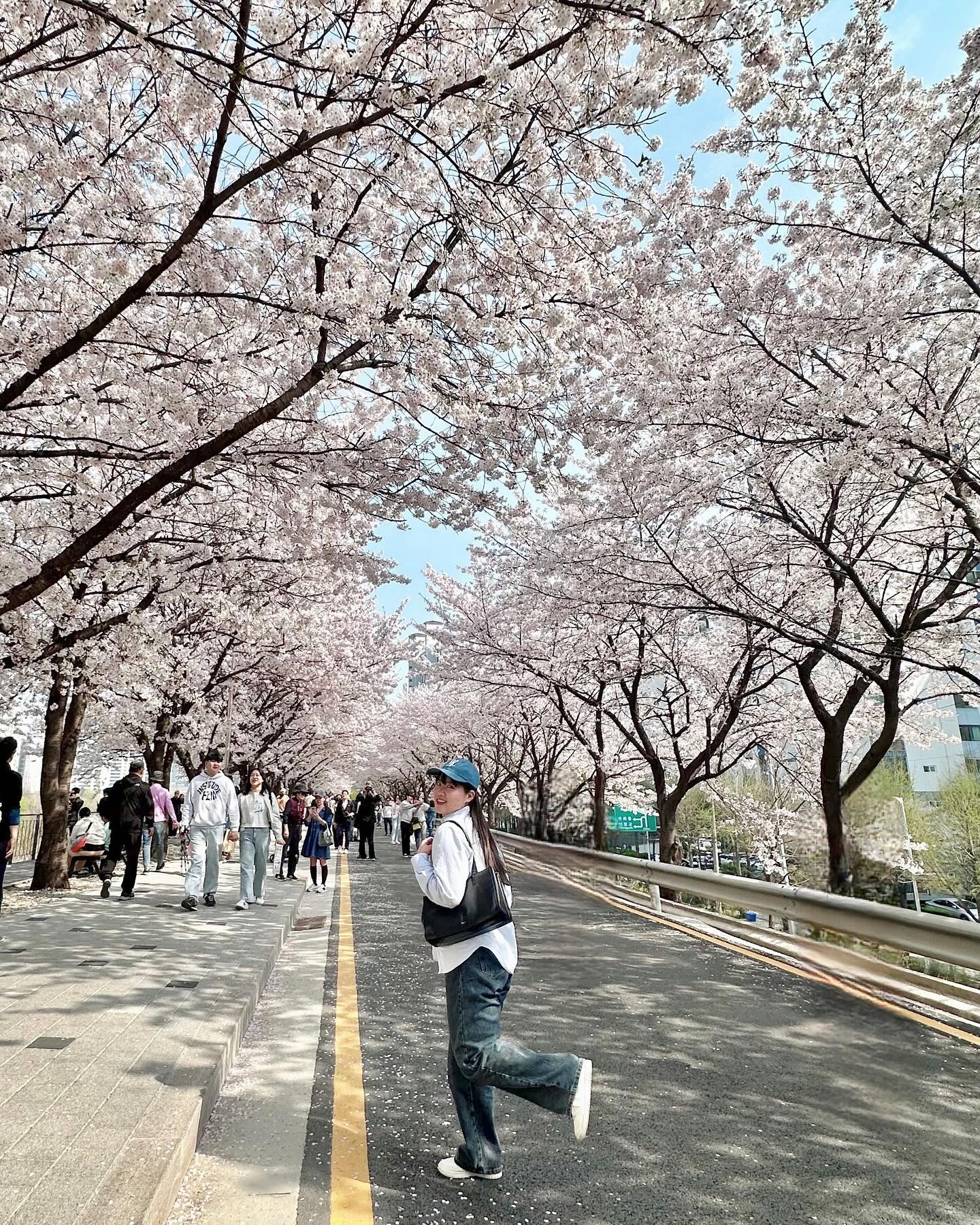봄이었다🌸🤍🌸🤍