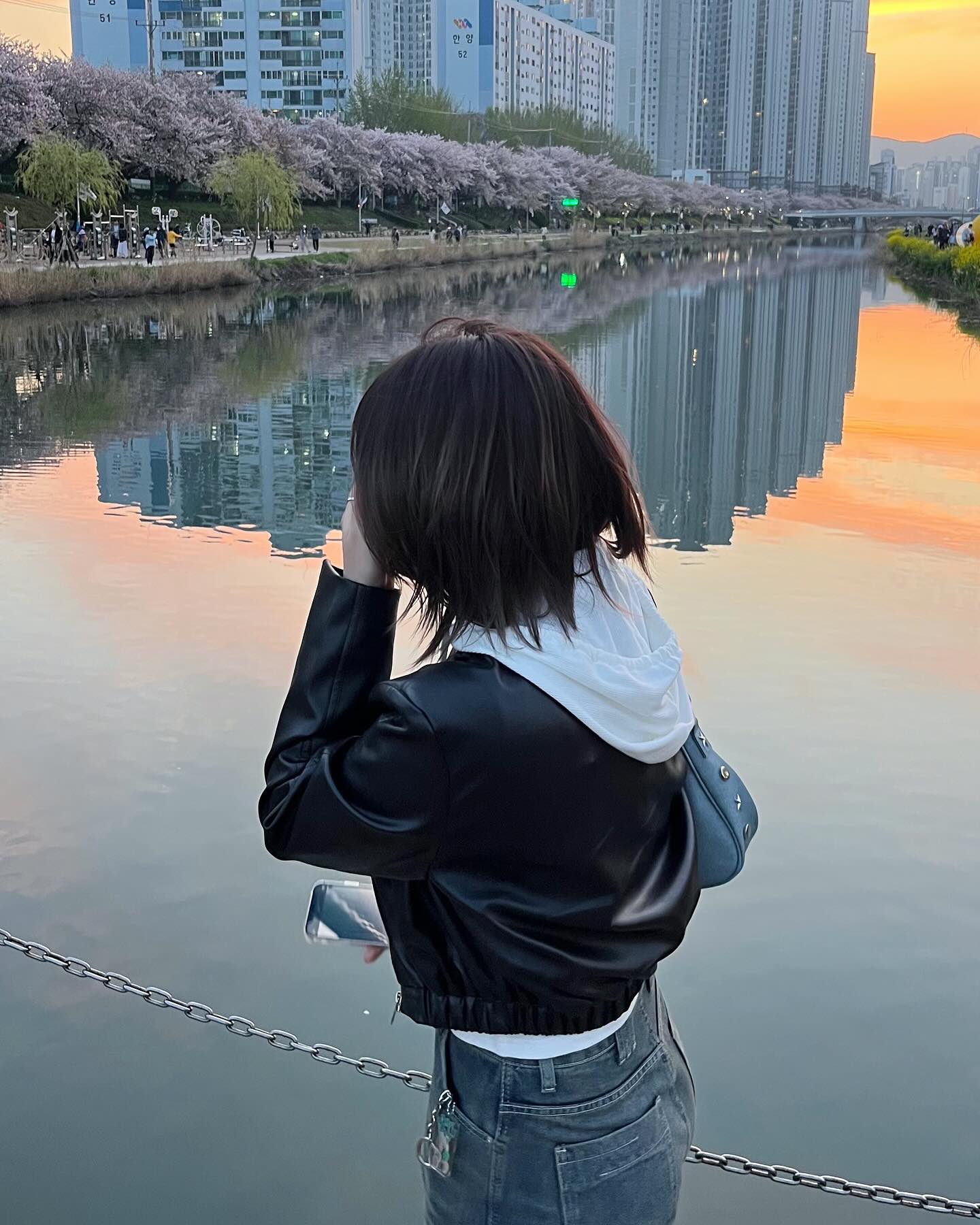 부산에서의 첫 벚꽃
