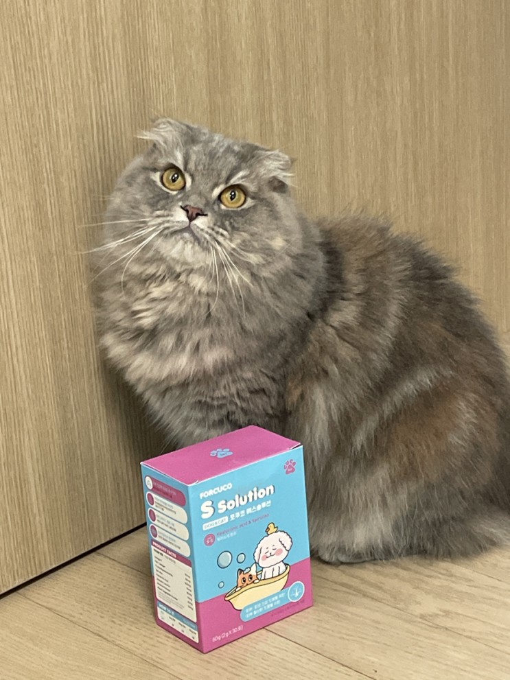 고양이•강아지피부영양제 ‘ 포쿠코 에스솔루션’  윤기나는 내 새꾸💕