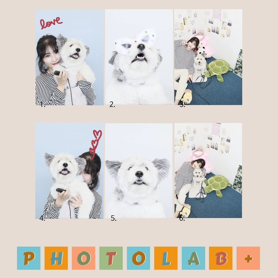 댕댕이 보호자들 주목📢

#협찬
이제 아이들 들처업고 힘들게 사진 찍을 필요 없대여...😭 

요즘 유행한다는 하이앵글과 다락방 컨셉 부스가 있는 #포토랩플러스 셀프사진관에 다녀왔어요!

정수리 컴플렉스 있는 먼지맘은 하이앵글은 잠시 내려놓고ㅎㅎㅎ  다락방 부스로 달려갔는데... 

ㅇㅓ... 먼지는 생각보다 카메라를 잘 봤는데 나만 먼지 신경쓴다고 시선처리 망ㅋㅋㅋㅋ 그래도 전 만족합뉘당!!!

그 다음은 일반 부스인데 배경색감도 예쁘고 무엇보다 여기 기본 프레임들이 너무 귀여워요!!! 스티커나 보정 넣은 거 없는데 저렇게 귀엽게 꾸며져 나온답니다 🫶

먼지네가 다녀온 곳은
#포토랩플러스수지점 이구요
저는 조만간 또 가서 찍어보려구요(중독)

photolabplus_official
📌 용인시 수지구 풍덕천동 풍덕천로 139번길 15 (수지구청역 4번출구)

#포토랩#photolabplus#댕댕네컷#강아지사진#멍팔해요#멍팔맞팔환영#댕팔하면맞팔#믹스견#강아지모델#doglovers