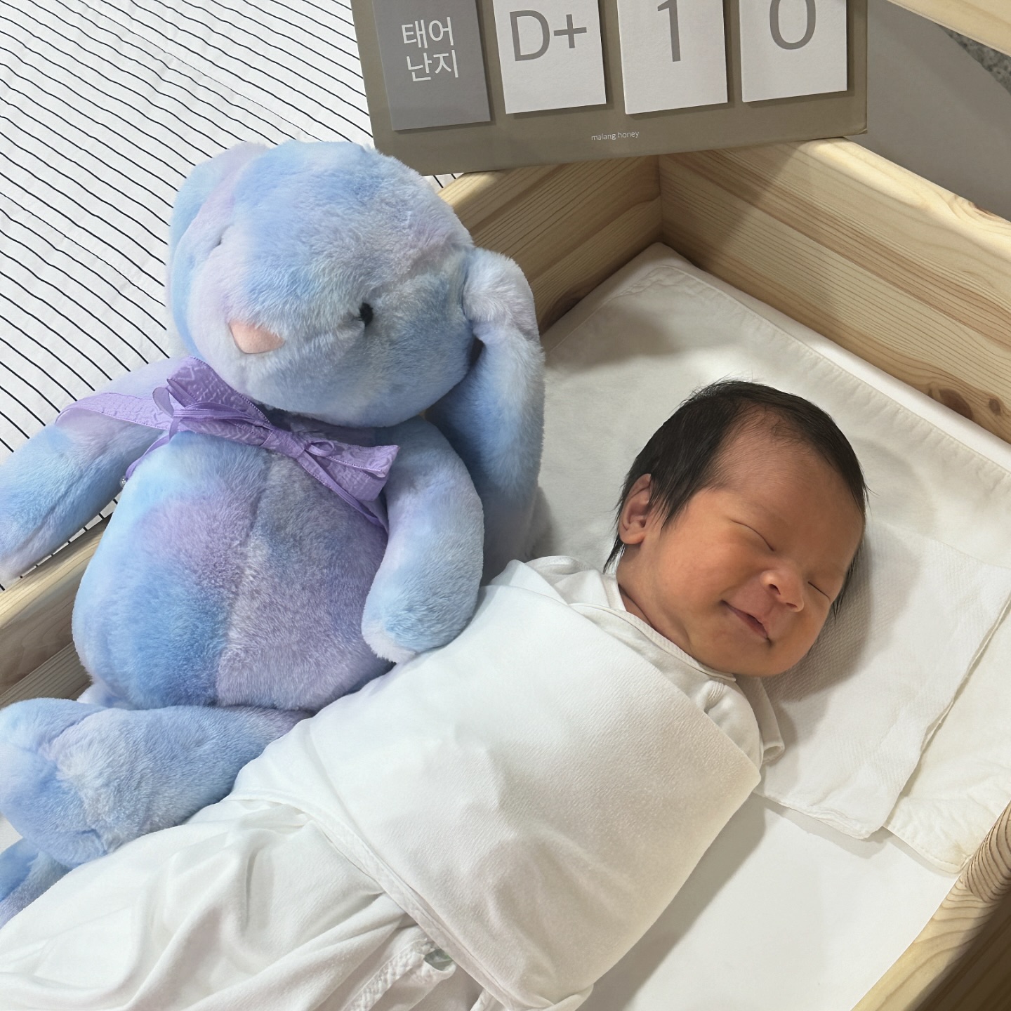 2024.08.26 태어난지 10일된 마이 베이비 이도유니,,❤️ 
지금보니까 이땐 완전 애기애기햇네,, 엄청 작았고 ,,, 이때까지만해도 우리 도유니가 순딩인줄알았지 뭐야하하하ㅏ하하하ㅏ하하ㅏ하하ㅏ하하하ㅏ하ㅏㅏㅏㅏ