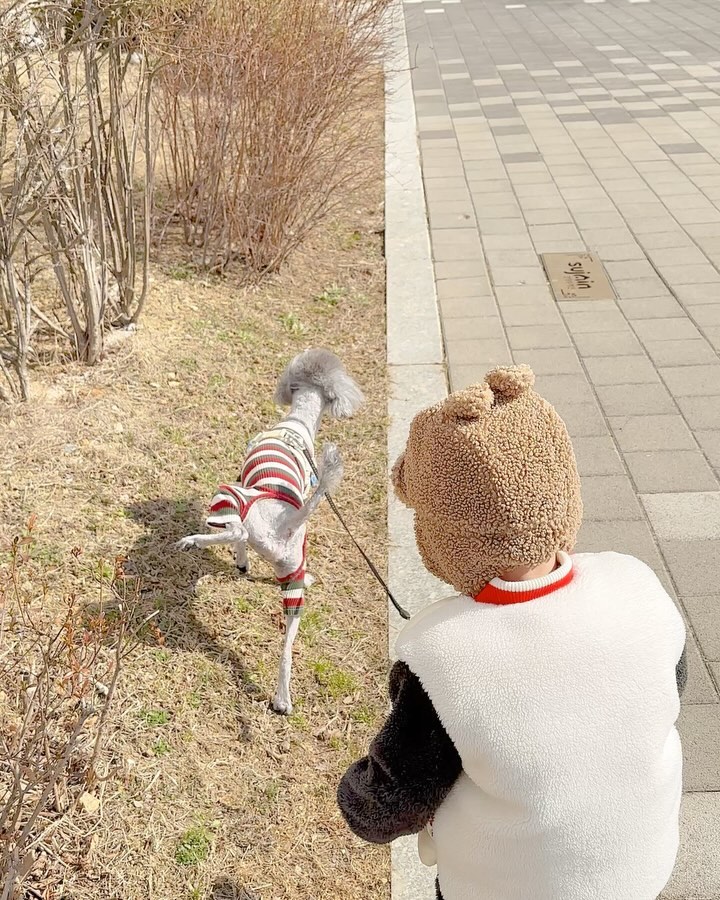 Hᴡᴀɴꪔ̤̫ 

👶🏻 루이.ᐟ 쉬아 쌋또? 

ㅋㅋㅋ 루이가 응가쌋는지 쉬아 쌋는지 
제일 관심 많은 22개월 호ㅏ니 ’◡‘✿ 

#애개육아
