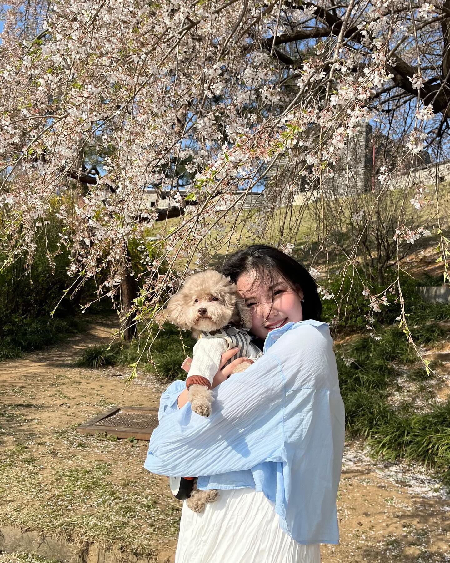 고망망🐶 그리고 봄
