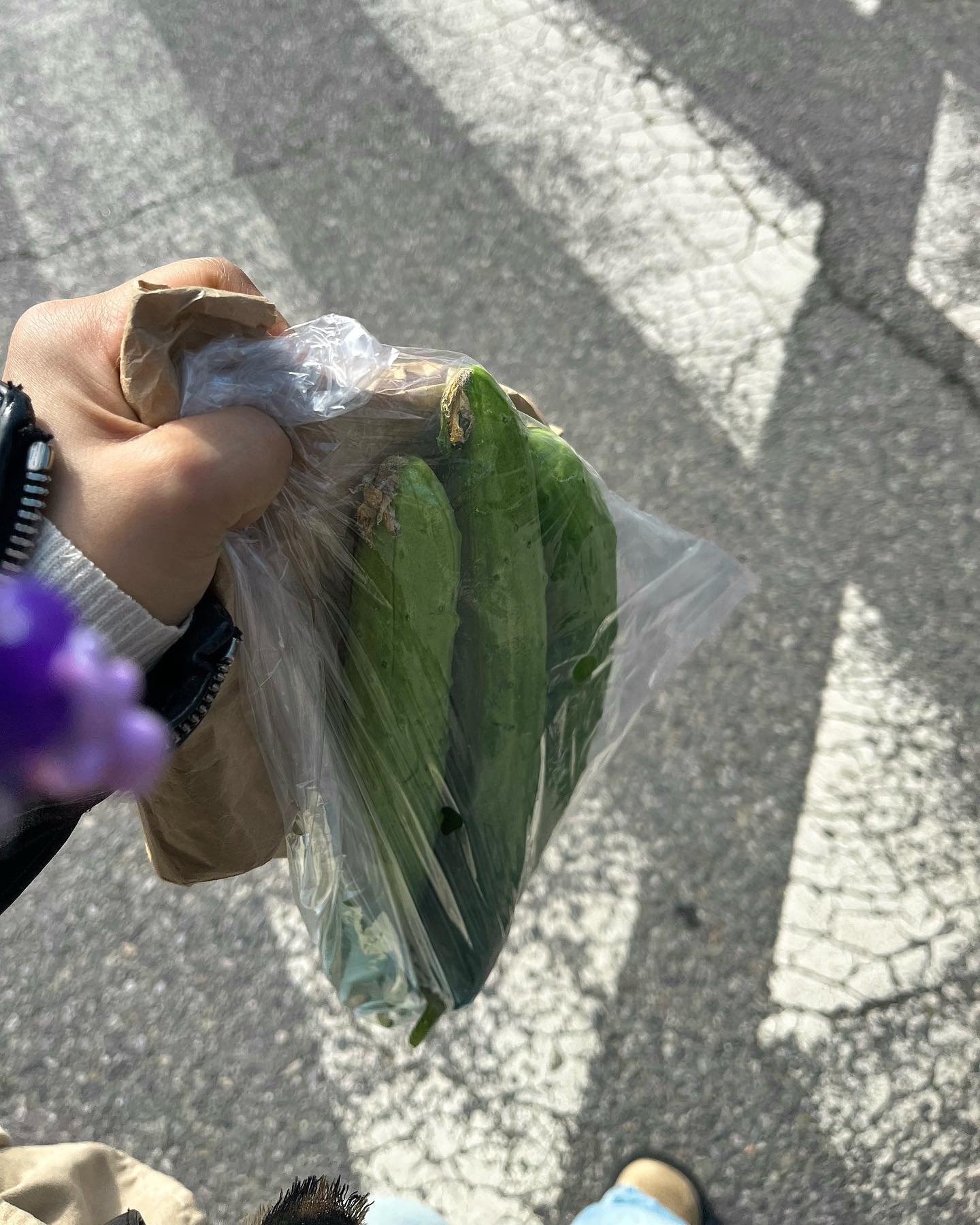 콘텐츠