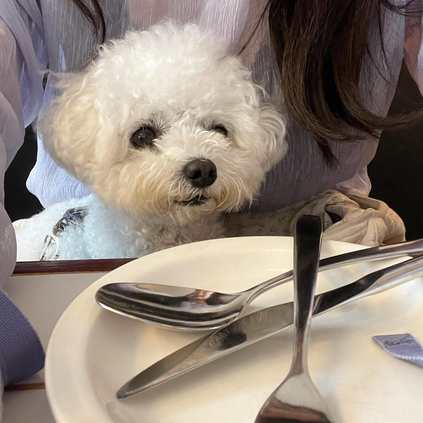 .
엄마 나 먹을 준비 됐어!!
근데 내꺼는..?
나는......?

#온천천 #온천천카페거리 #온천장맛집 #온천천애견동반 #온천장애견동반 #온천역맛집 #부산애견동반 #부산대애견동반 #몬베튼 #온천천브런치카페