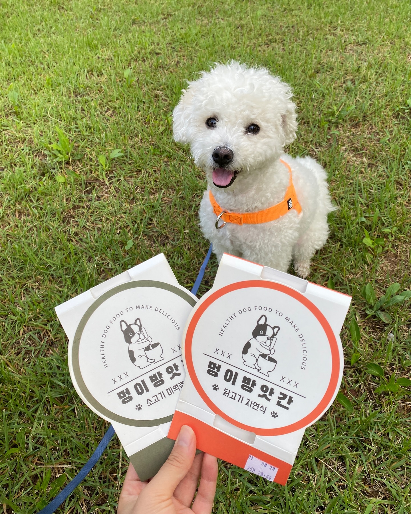 #광고 
🐶입맛 까다로운 댕댕이를 위한 자연식🐶

✅ 100% 수제 프리미엄 자연식 ! 
✅ 닭고기, 오리, 소고기 등 다양한 맛 
✅ 단백질과 비타민이 풍부한 한끼 
✅ 제조공정에 멸균과정 추가하여 유통기한 6개월로 연장 ! 

📍쫑이는, 야외활동할때 든든하게 먹거나
야외활동을 한 다음날, 체력충전을 위해 먹었어요 :) 
3시간 해동해서먹거나 , 전자렌지에 데우기만 하면 끝 ! 

멍이방앗간 자연식 👉 mungsmill 
구매링크 👉 https://smartstore.naver.com/dog_mill/products/4824669427

#멍이방앗간 #강아지건강식 #강아지자연식 #강아지수제화식 #프리미엄화식 #국내산간식 #강아지간식추천 #소형견간식 #대형견간식 #강아지간식 #반려동물 #반려견화식