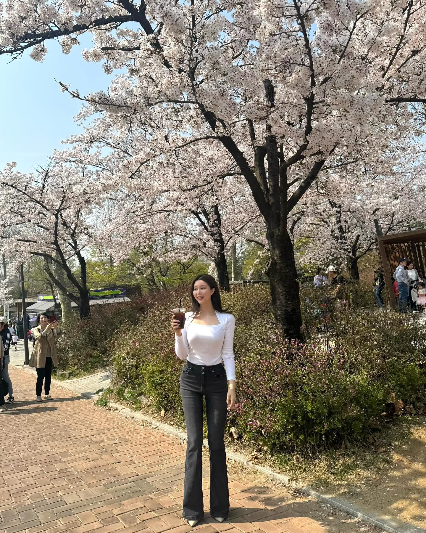 🌸봄 이왔어요~옹