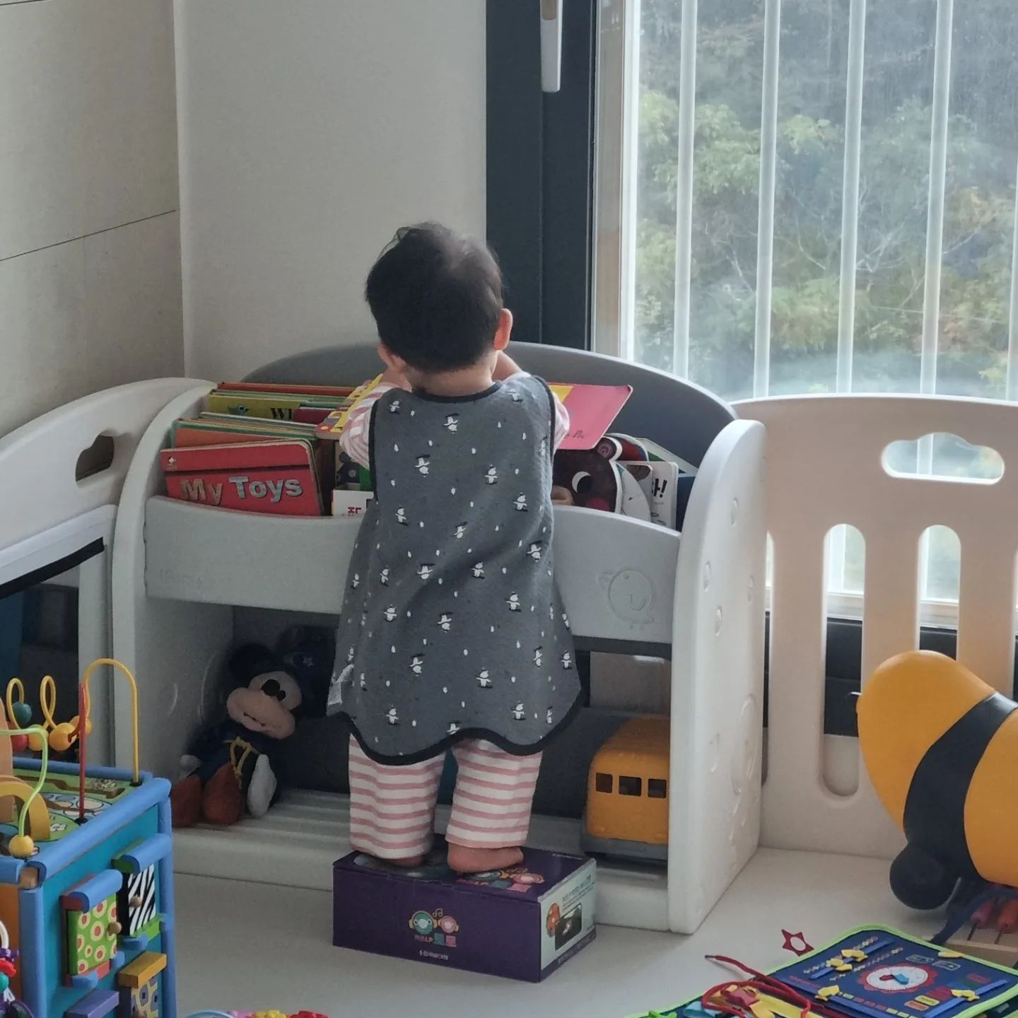 🌞
오늘 아침도 모닝 독서로 시작하시는 꿀별씨..

상자가 저기 있던게 아닐텐데 꺼내서 발로 딛고 서있는거야?!!
천재다 천재!!!
내가 천재를 낳았어!!!
👶

D+311
23.10.18

#도치맘 #아들맘