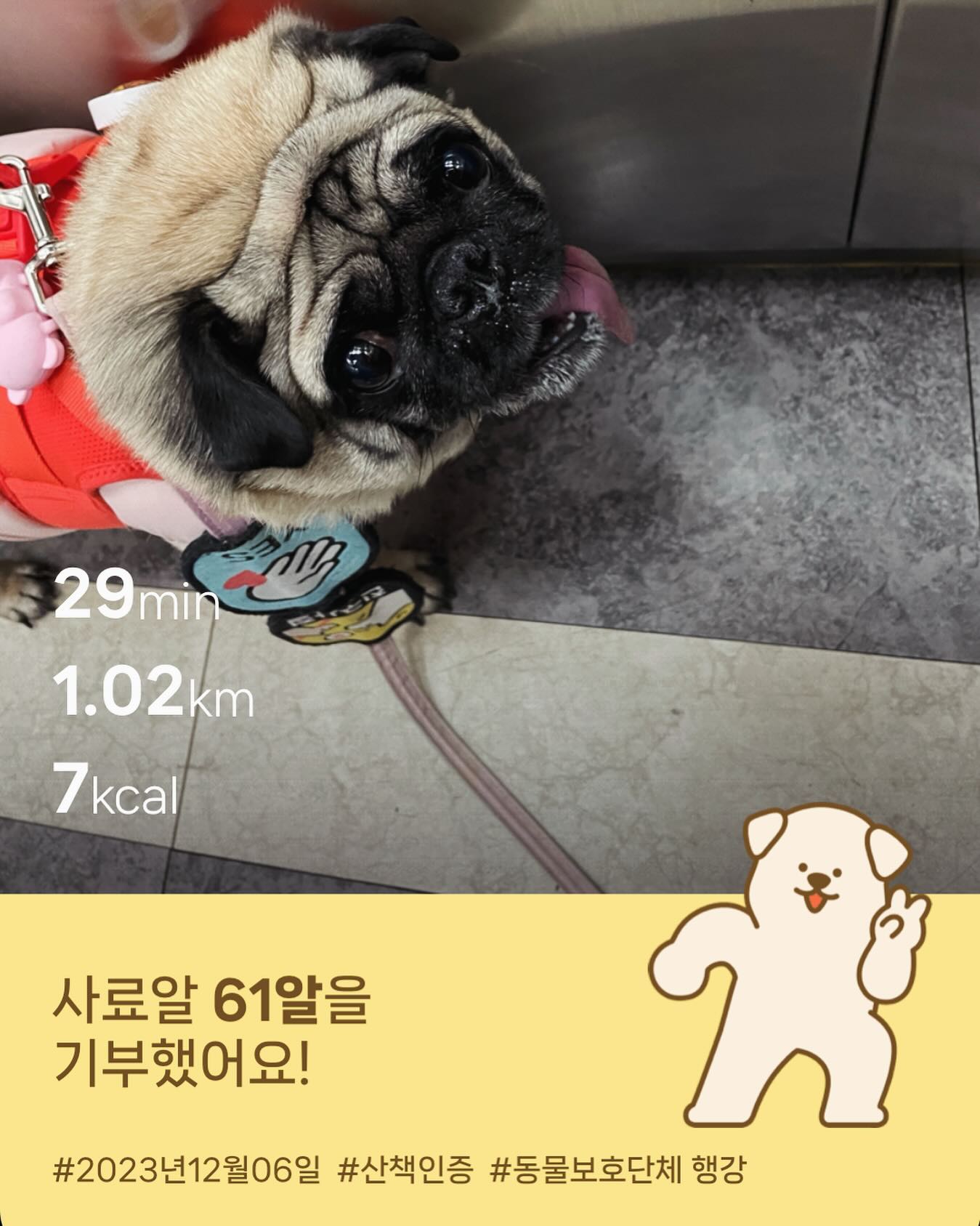 #산책스타그램 #산책멍🐾 #봄이스타그램🐶🐾 #퍼그 #pug #puglife 
.
.
.
.
가기싫어하다가, 옷입히면 잘 가는 귀요미🐾🫰