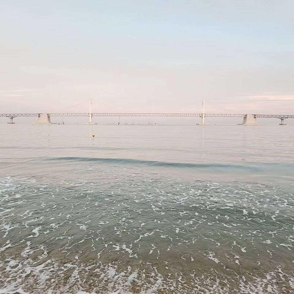 어제부터 조금 전까지 엄청 울었다
광안리쪽 병원에 갔다가 예약해뒀던 근처 해변가 횟집에서 혼자 울면서 회 두접시를 먹었다, 사람들 시선이 느껴져 우는 와중에 간간이 미소를 지었다 
거기가 자기에게 정해진 자리인듯한 직원이 내 가까이 서서 그 상황을 궁금해하면서도 불편해하는것 같길래 뭐 다 내 짐작이지만.. 덜 불편하라고 마치 아름답고 감동적인 영화라도 보는양 휴대전화 화면을 보며 냅킨을 접어 눈물을 찍어내고 입꼬리를 억지로 끌어올렸다
너무 이상하지만, 그렇게 했더라 내가.

나와서 잔잔한 파도를 보면서도 울고 
풍경과 소릴 영상으로 찍어 보내주려는데 어씽하는 사람들이 너무 많아서 다섯번 시도하다 말고 이게 충분한 노력이었나 생각하고 할만큼했다는 생각이 들 때까지 모래사장 위의 그네에 앉아 있어 볼랬는데 어린 연인들이 그 자리에서 사진을 찍고 싶어 하는 것 같길래 이내 일어나고
부산항대교에서 노을을 보면서 이런 빛은 조금 위험을 감수하고? 대충이라도 안 찍을 수가 없다 싶어 찍다가 그래도 지금 이게 뭐가 중한가 싶고 실은 옳은 일이 아니란 생각이 들고 부끄러워졌다
집에 돌아와 올라가진 않고 아무도 없는 놀이터 그네에 앉아 오랜만에 통화하는 친구에게도 좀 울먹거리고 그러고보니 나는 그네를 타지 않고 앉기만 하는구나 이건 또 잘못된 해독인가 범용의 미덕인가 하다가 또 무슨 고단한, 괜한 의미부여인가 싶고
밤에 산책하면서는 속으로 울고..오히려 웃다 결국은 또 울었다 
집에서 바다까지 이어진 수국길을 오랜만에 손잡고 걸었다
예전에도 그런 일이 있었다
금방 괜찮아지지만 잠깐은 절대 못견딜 것 같은 그런 일이 한번, 기껏해야 두번쯤.

어제는 조금 울고 오늘 아침엔 많이 울었다 
울면서 속눈썹이 너무 많이 빠져서 덜 예쁘겠군, 생각했다
너무 이상하지만 그러게, 이상하더라 내가.
혈당검사 하러 가야하는데 손가락만 겨우 움직여서 고민된다
아마 안 갈 것 같다
그건 나를 돌보는 일이니깐
하지만 누가 내가 필요하다하면 꾸역꾸역 또 몸을 일으키겠지
내가 하곤 널 위해서였다 생각하겠지 
그래서 결국은 너보다 날 좋아하겠지
나는 '사람'을 좋아하지 않아서 글을 못 쓴단 생각을 했었나, 얘기를 들었었나.  아마 들었어도 수긍을 했을 텐데 지금은 그게 맞나 싶다
나는 사람을 좋아하는데 이상하게 좋아하고 이상하게 노력한다 거기 너무 애를 써서였나... 아직도 내가 글을 쓰길 바라는 가까운 사람이 몇있는데 이런거밖에 못쓰는데 무슨, 
아무렴 어때
실망스럽고  안쓰럽고 게으르고 그와중에 복잡하고 무엇보다 이상한 나를, 나는 이해가 안되도 봐줘야지
후회하고 한탄하고 노력하고 그러다말고 다시 해보고 못하겠다면서 그래도 하려고 하는 한은, 언제나는 안되도 언제까지나.

#작별인사 #슬픔이여안녕 #비밀과거짓말 
#일기 #나는내가너무좋아 #나너좋아하냐