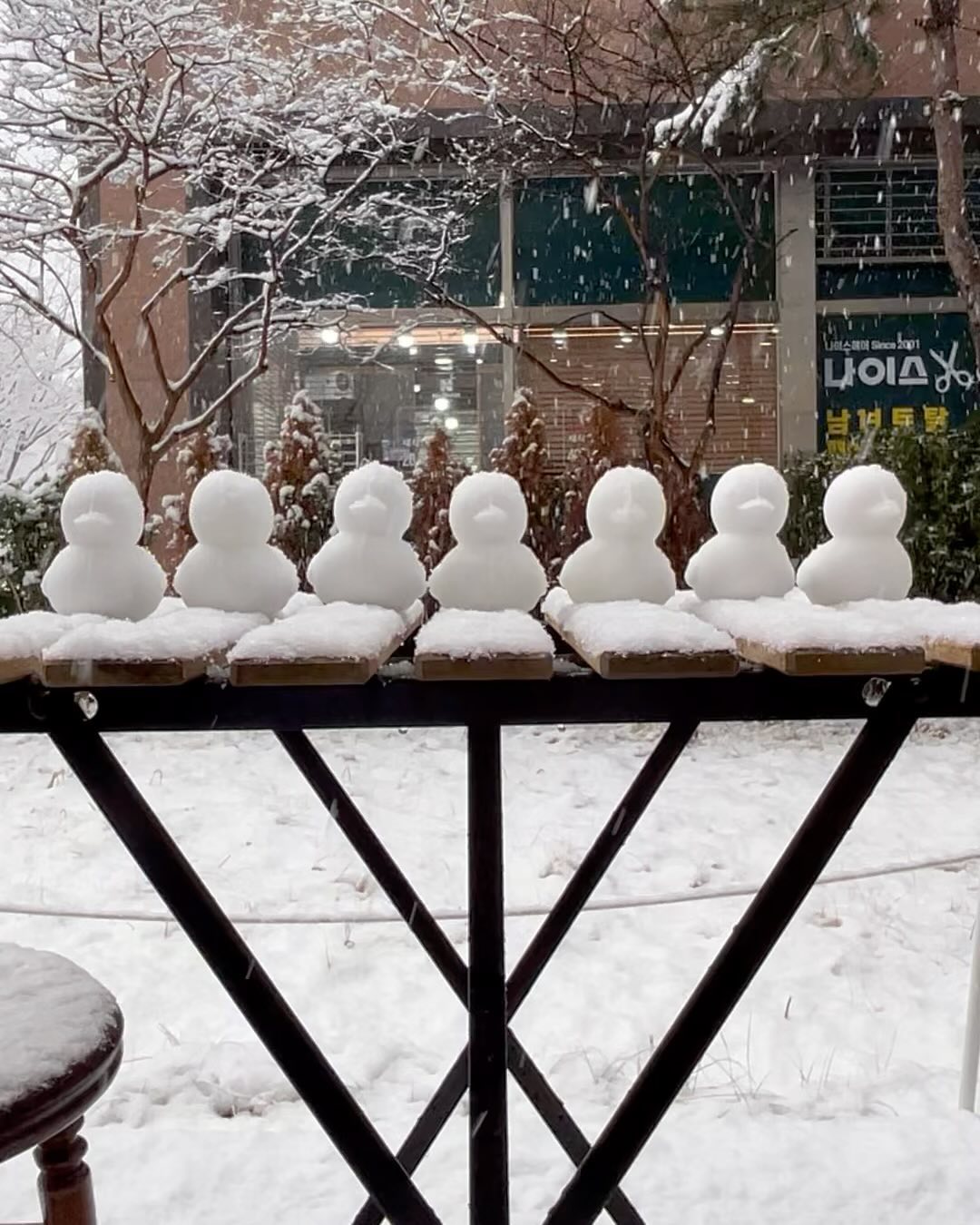 SNOWMAN🌨️☃️🐤