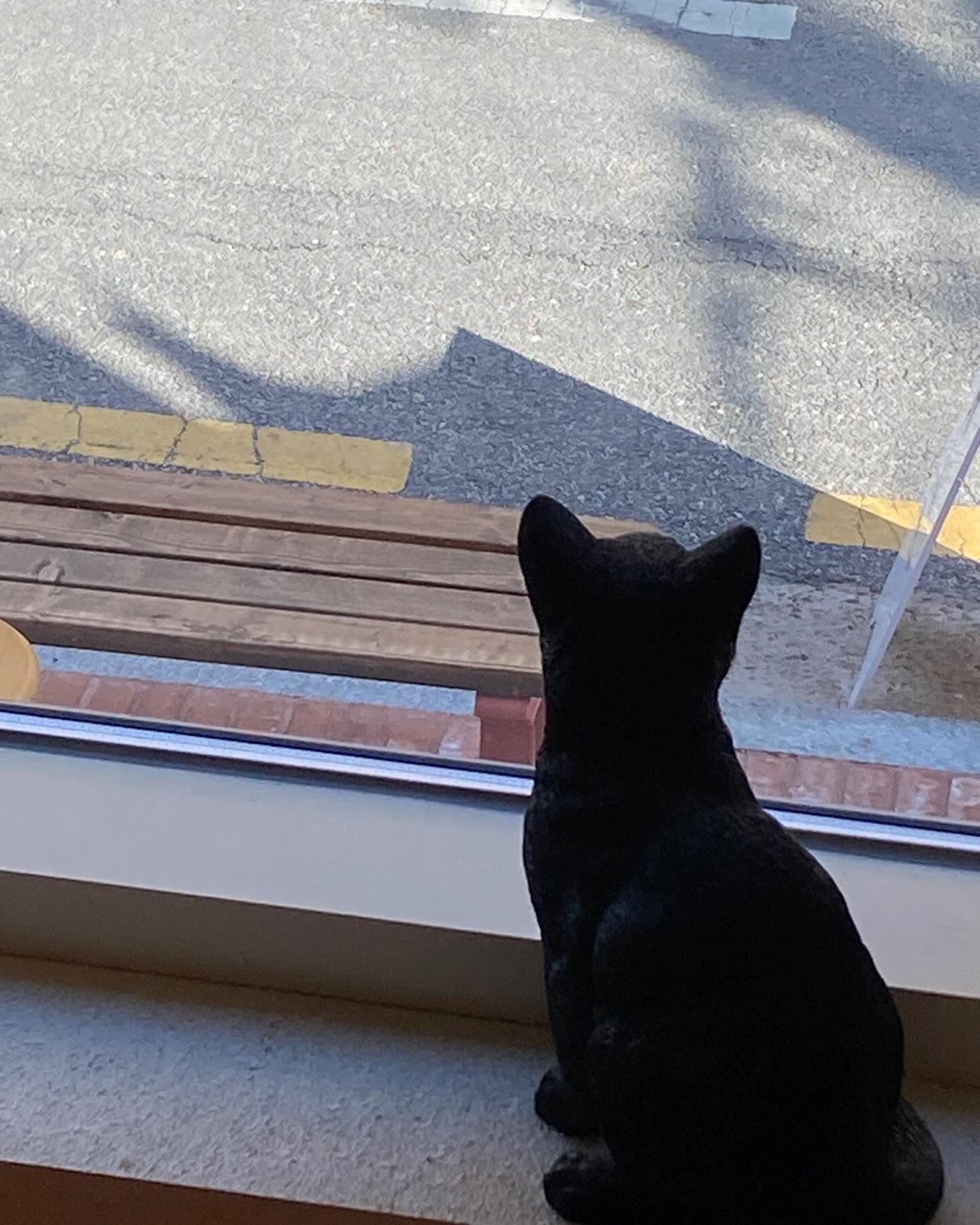 🐈‍⬛🎀💝 #Darlin