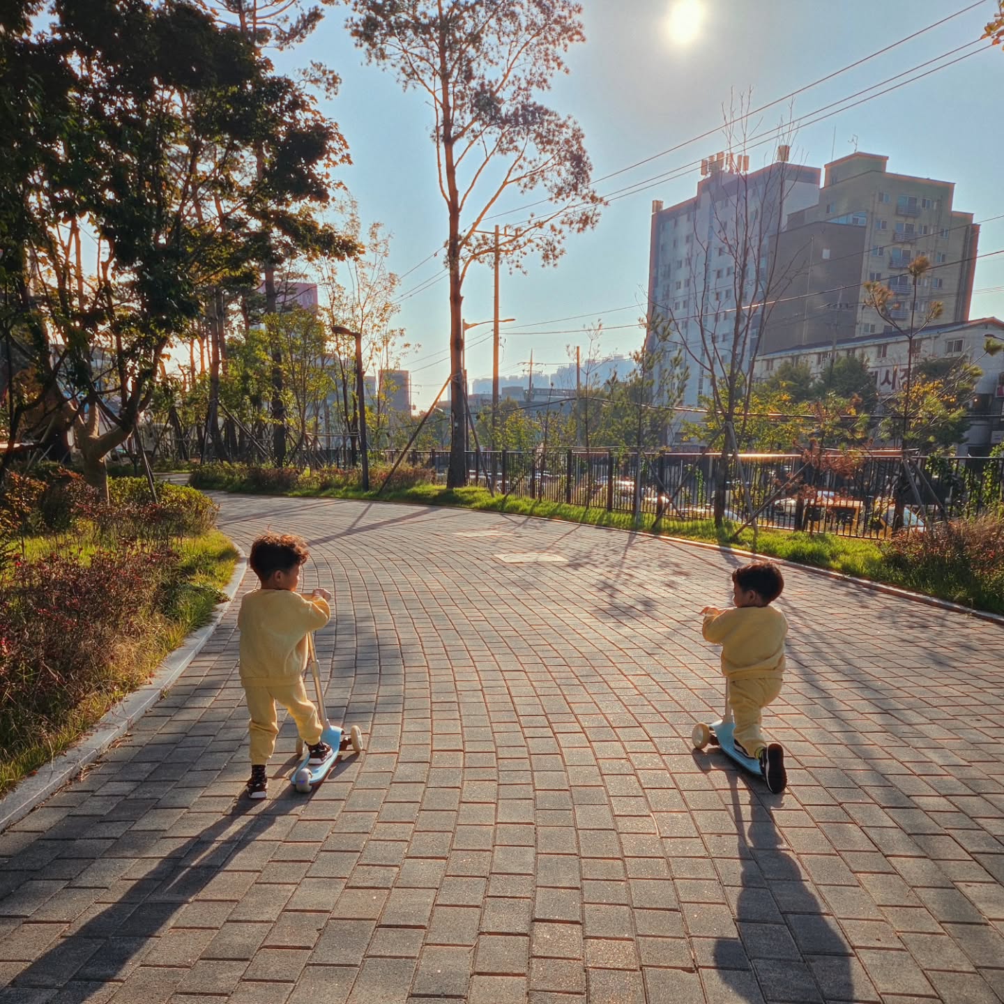 아침부터 힘빼기 🛴🛴🛴
등원길에 킥보드 🛴 타고서 아침경주하는 아둘
굳이 돌아서 동생 얼집 델따주고 유치원간다면서~~~
오늘도 에너지 넘치는 중~~~
아침부터 빡시게!! ㅎㅎㅎㅎ
.
.
#형제일상 #얼집등원 #유치원가는길 #형제룩 #형제끼리 #킥보드 타고 #아침일상 #육아일상 #육아맘그램 #형제그램